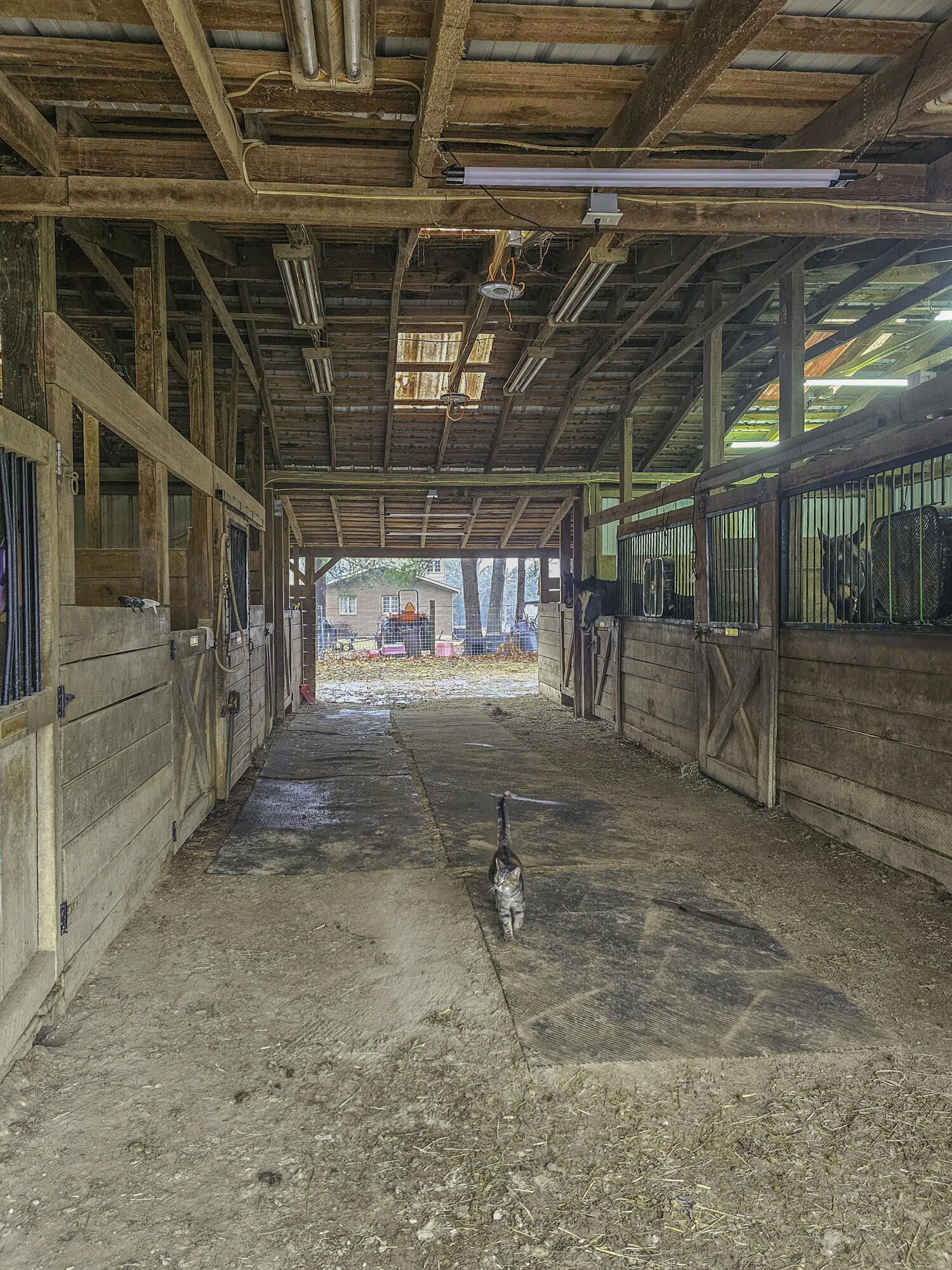587 Bunker Hill Mill Rd