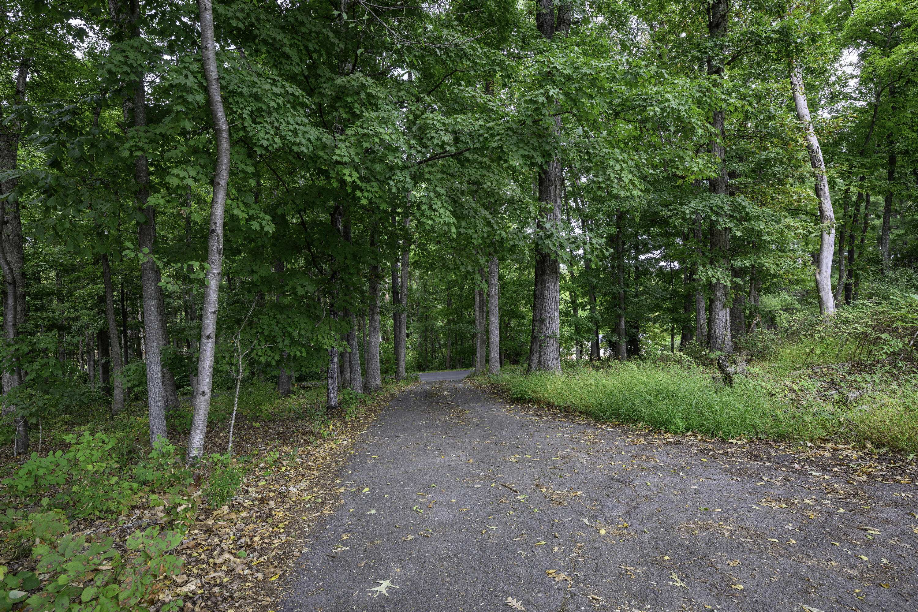 587 Bunker Hill Mill Rd