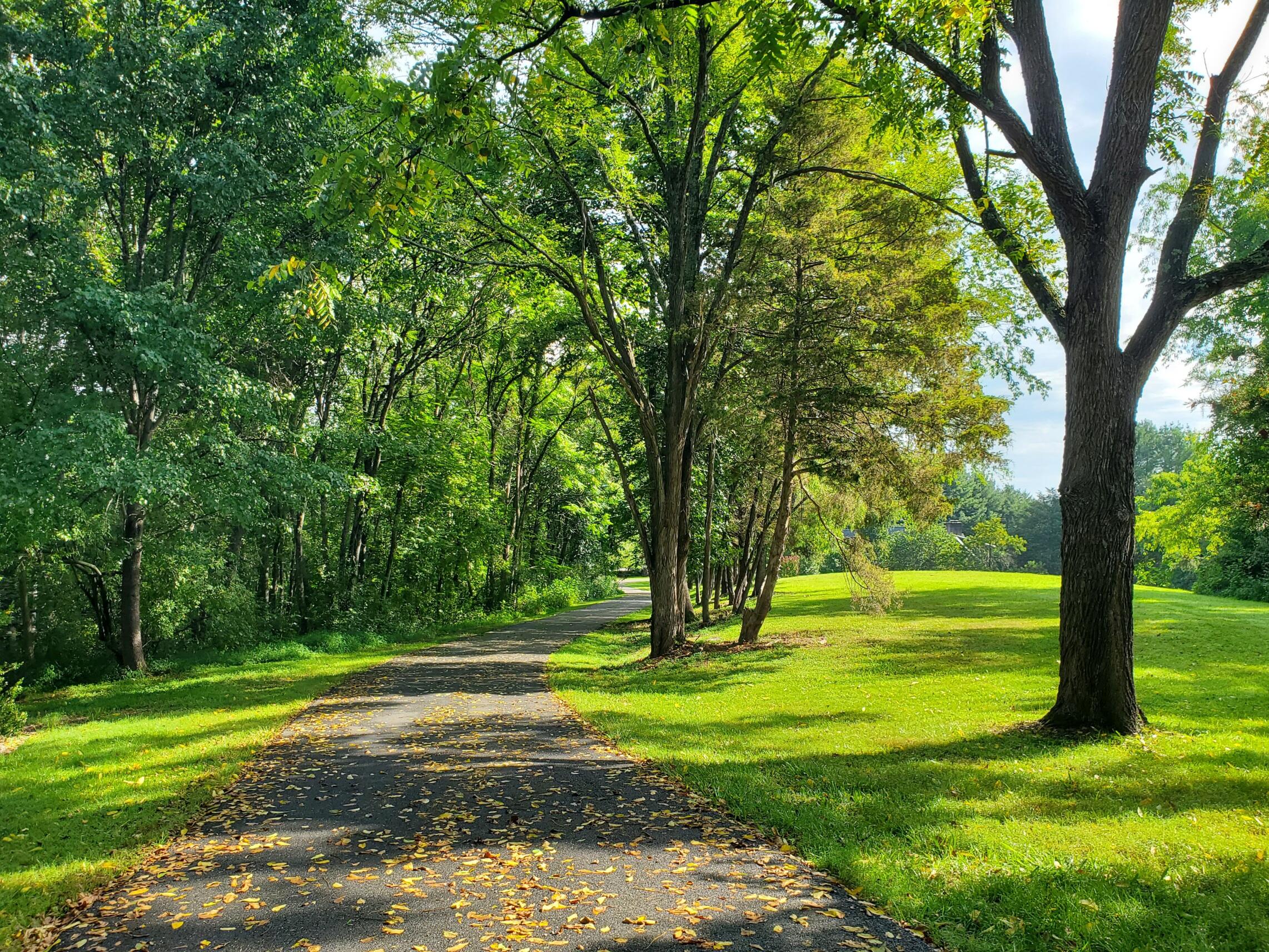 150 FOREST HILL VIEW