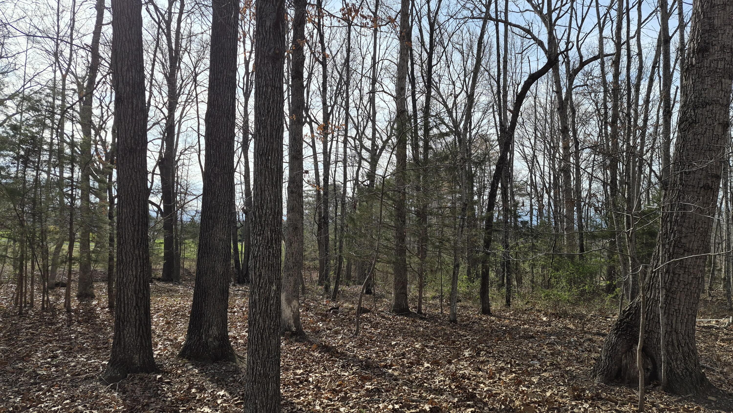 15.4 acres Stoney Run Rd