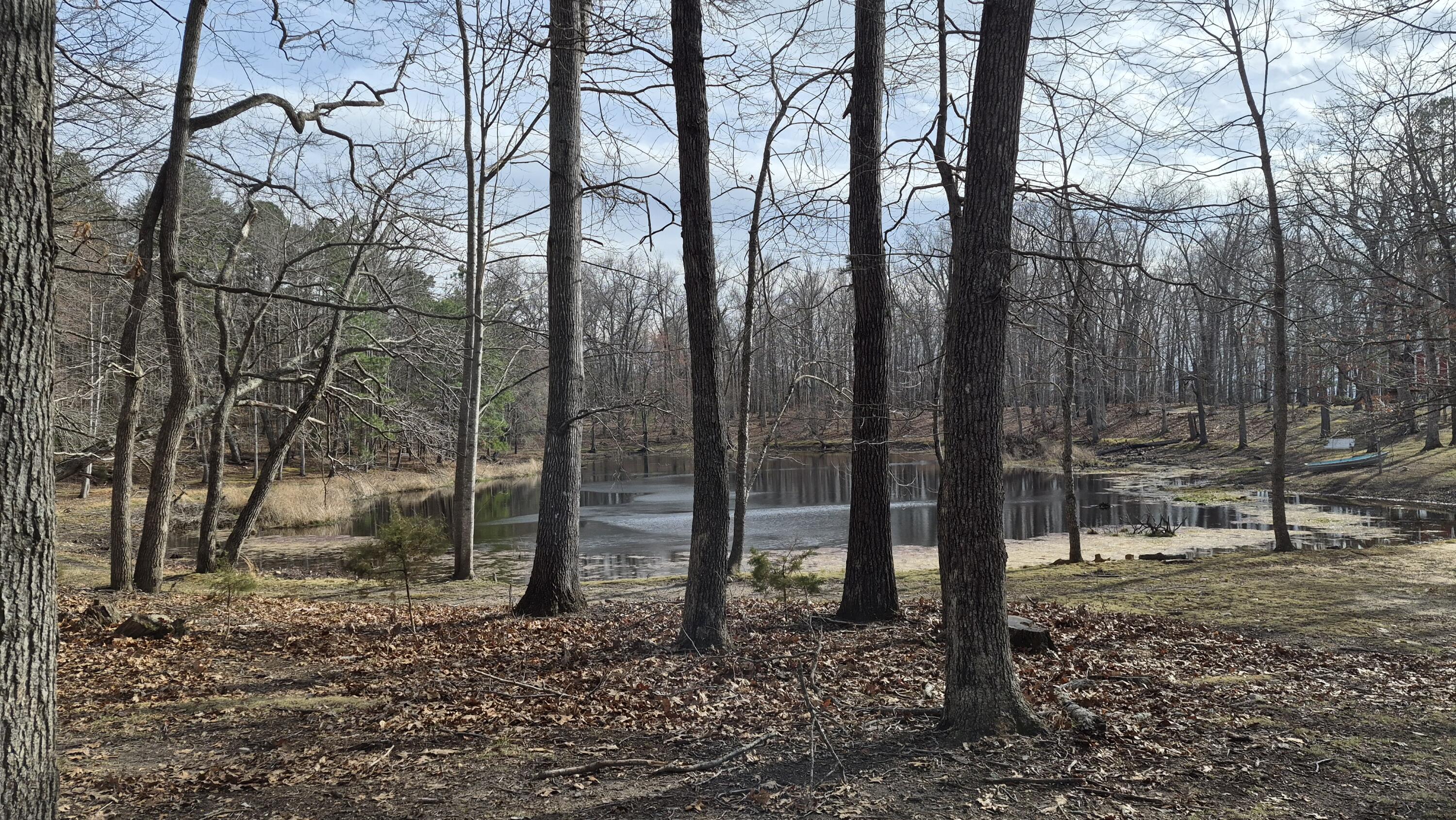 15.4 acres Stoney Run Rd