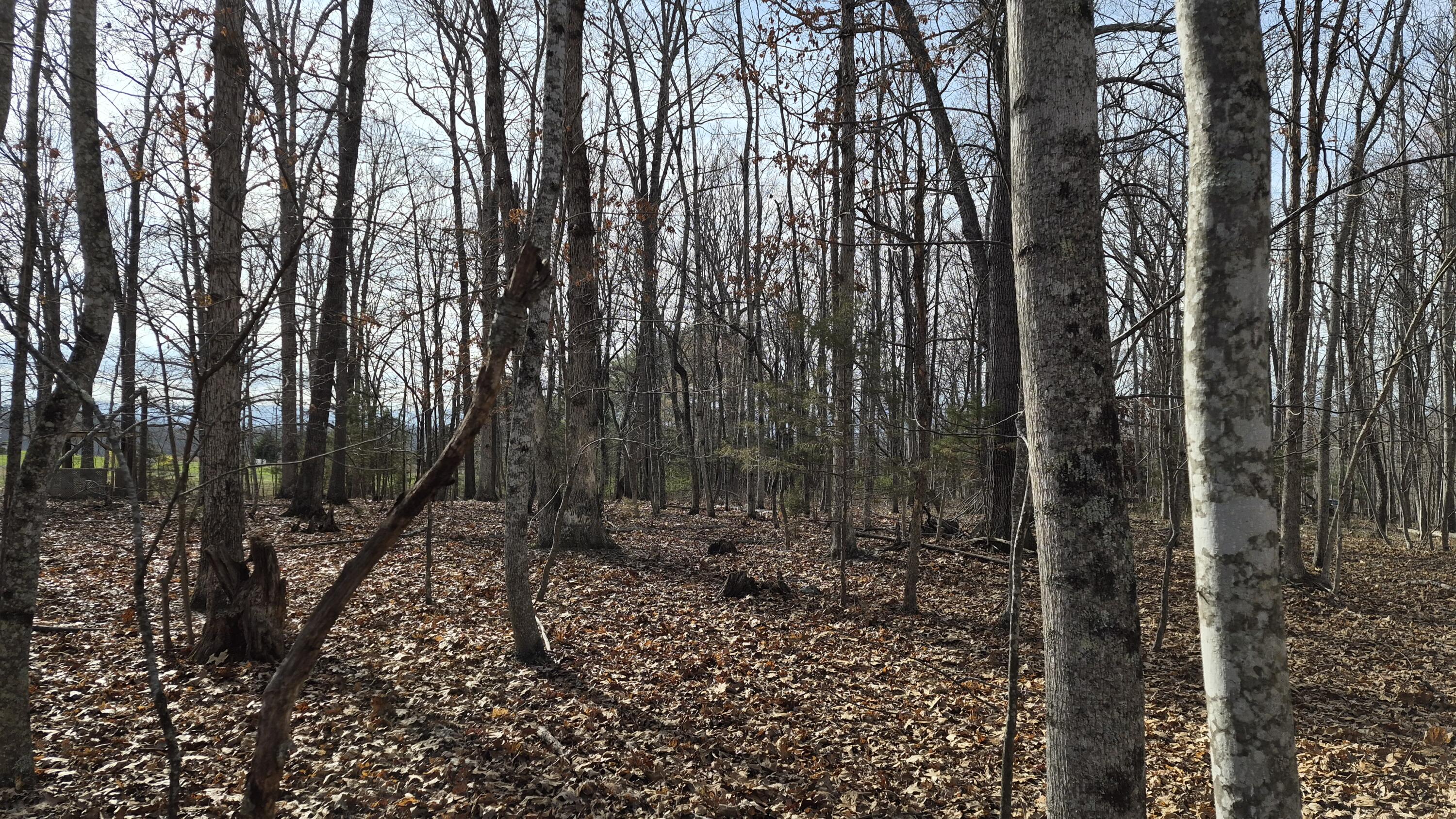 15.4 acres Stoney Run Rd