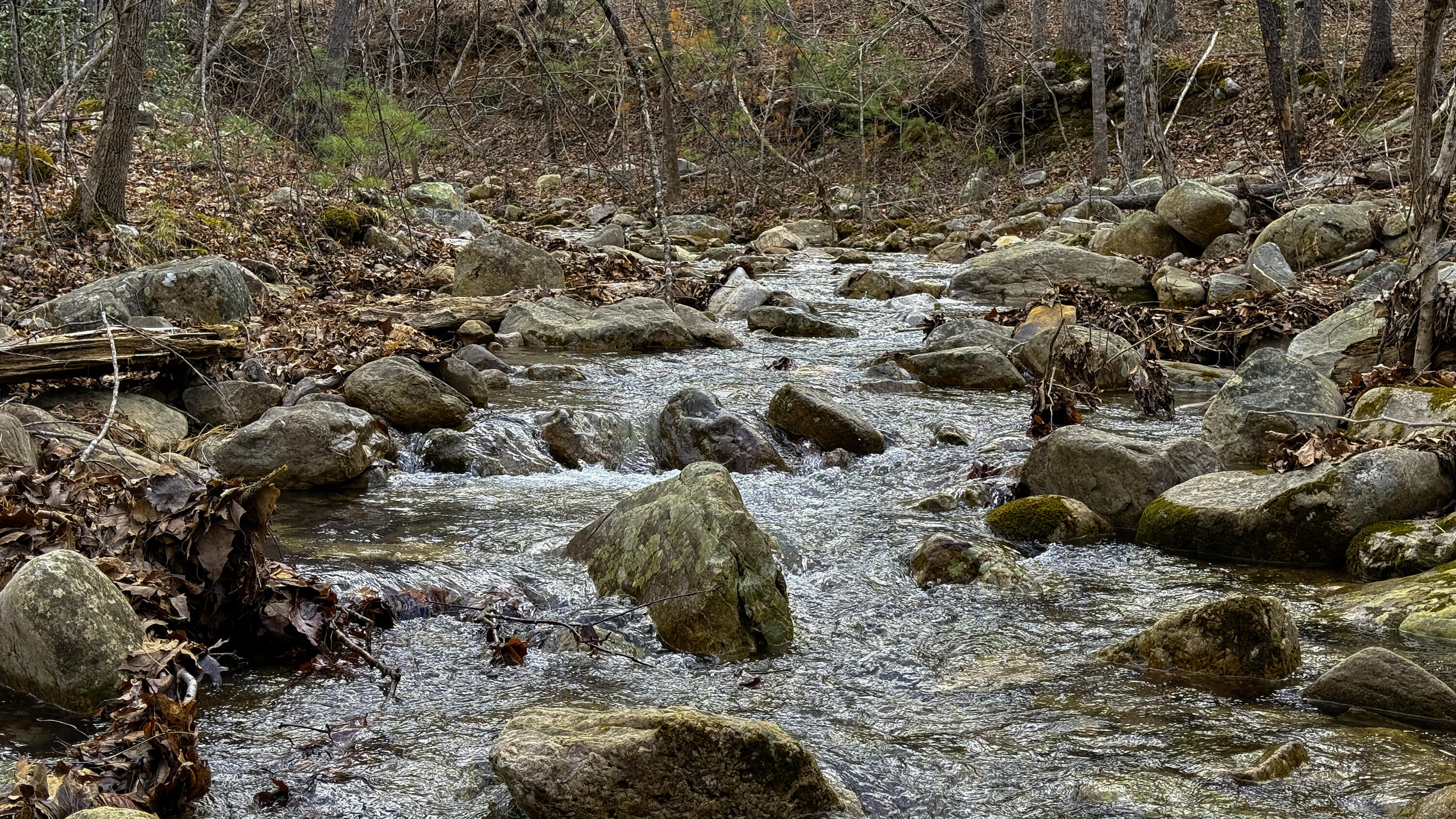 4600 Green Forest Ave