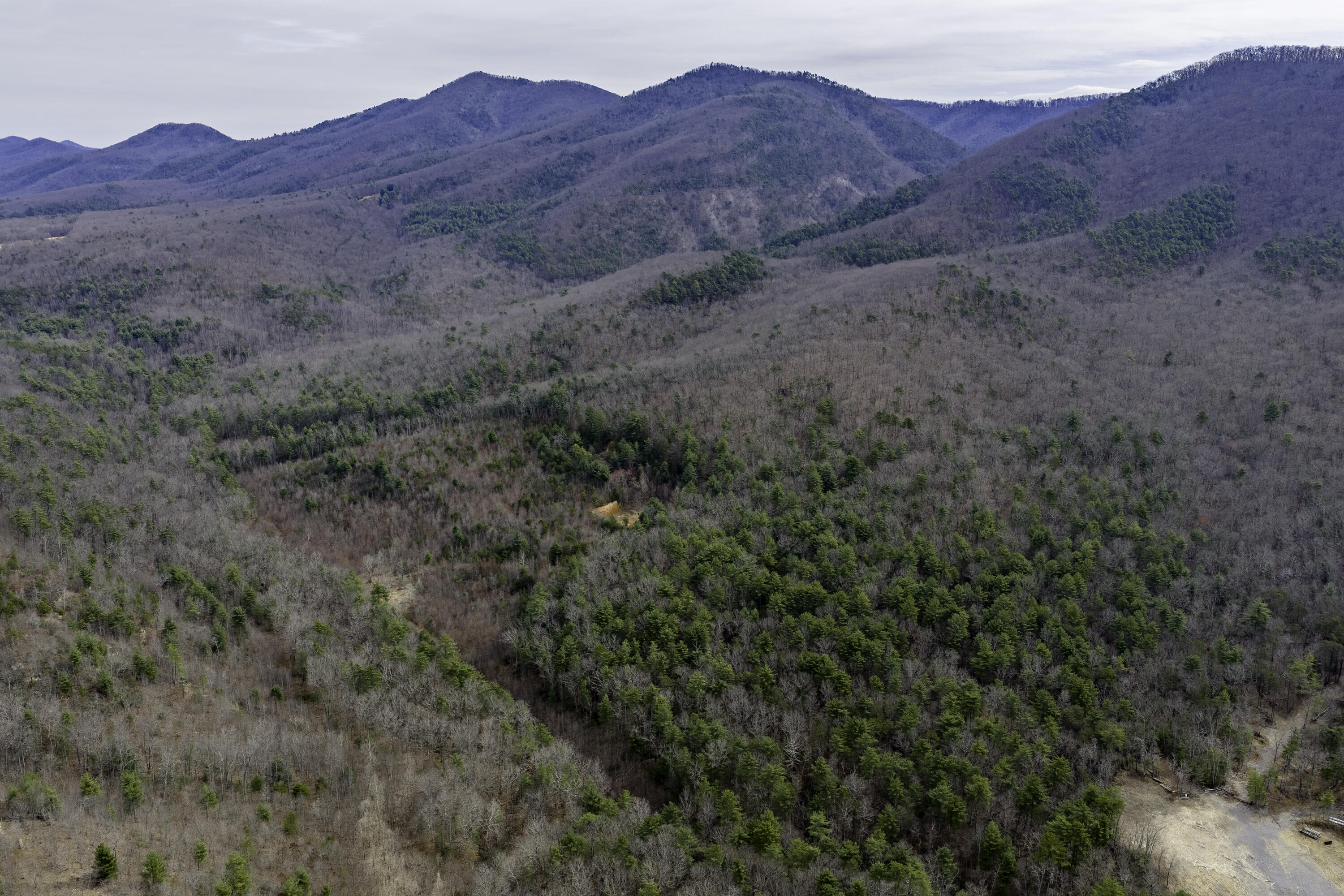 4600 Green Forest Ave