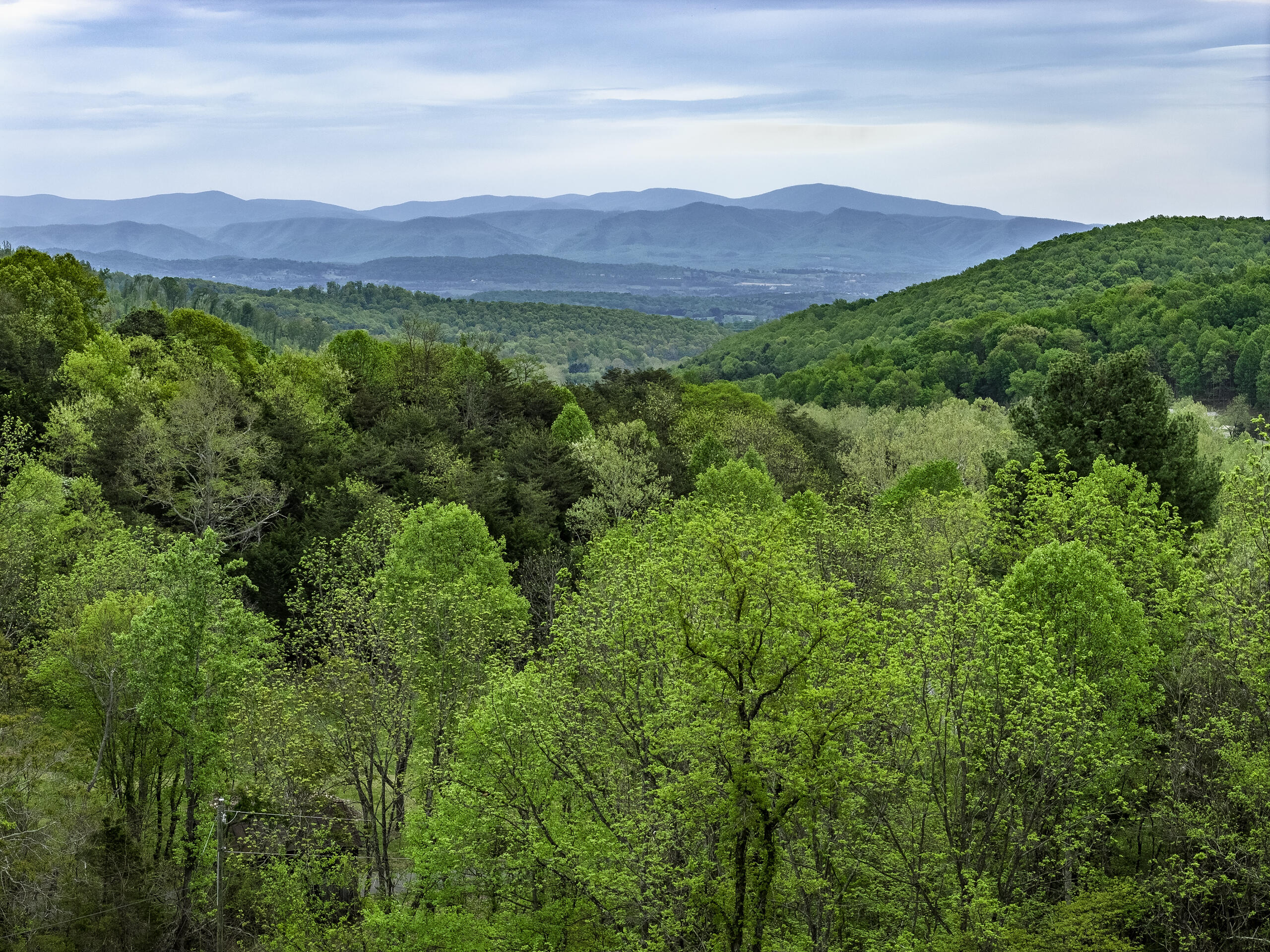 311 Higgins Hollow Rd