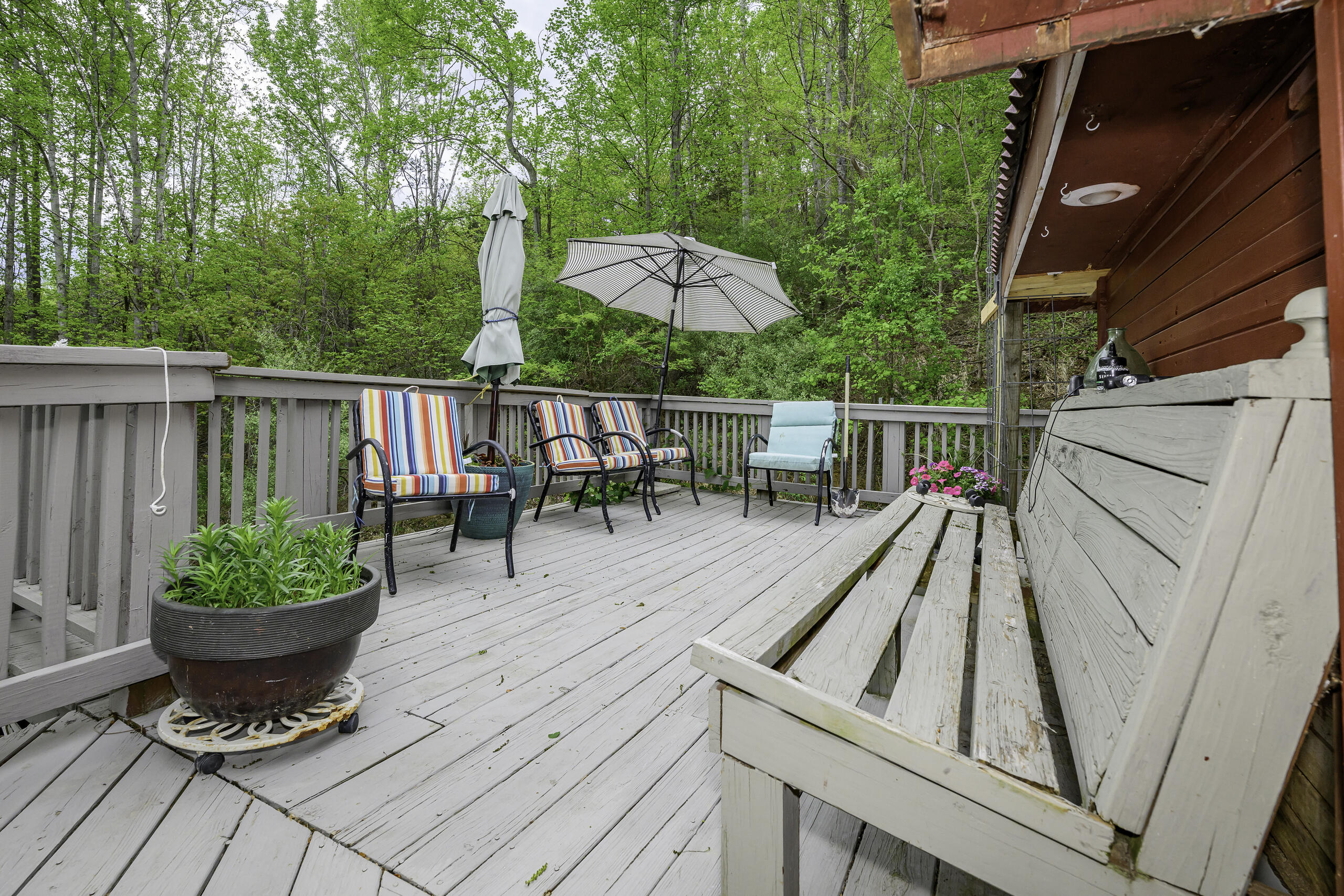 311 Higgins Hollow Rd