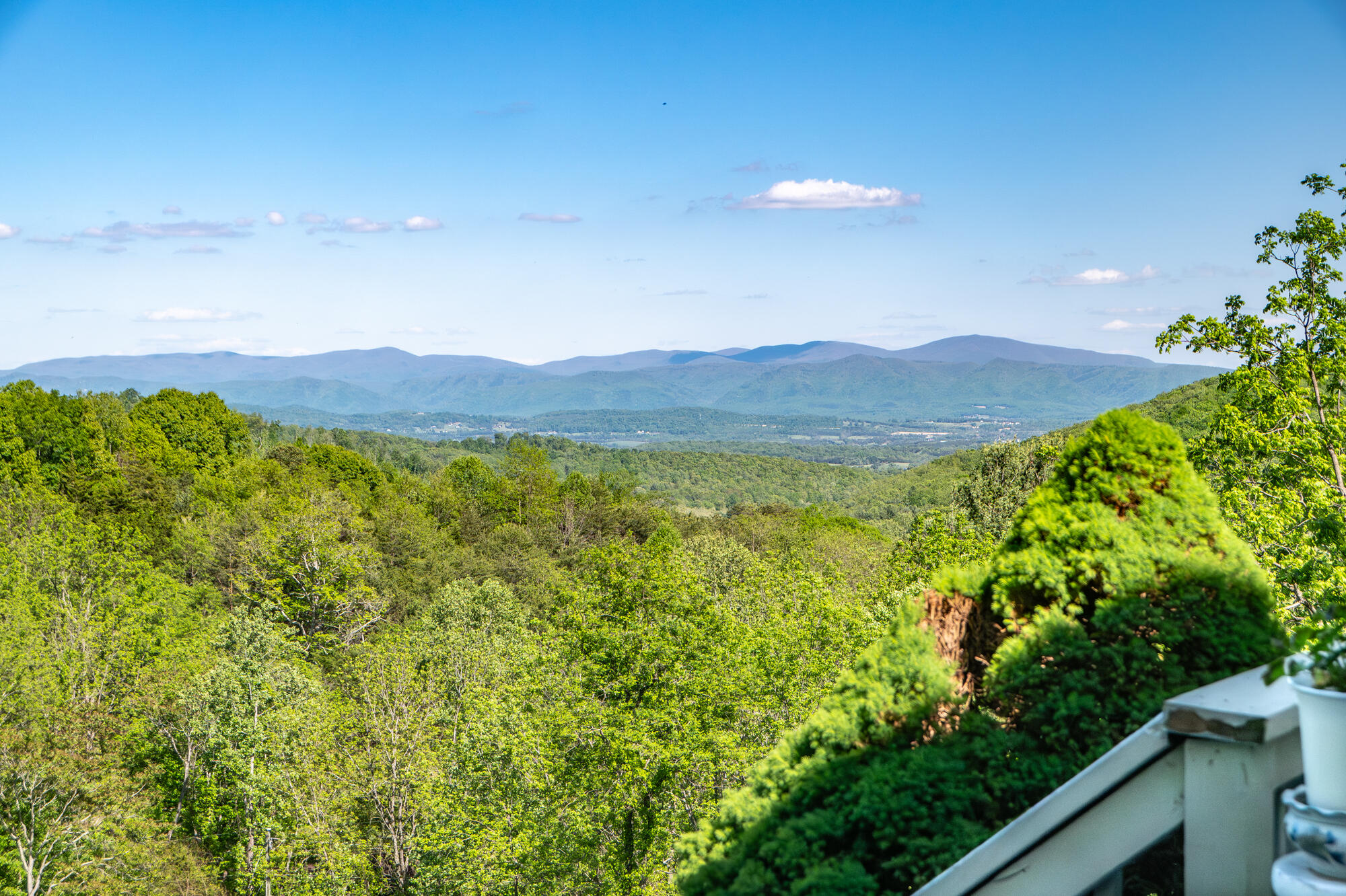311 Higgins Hollow Rd