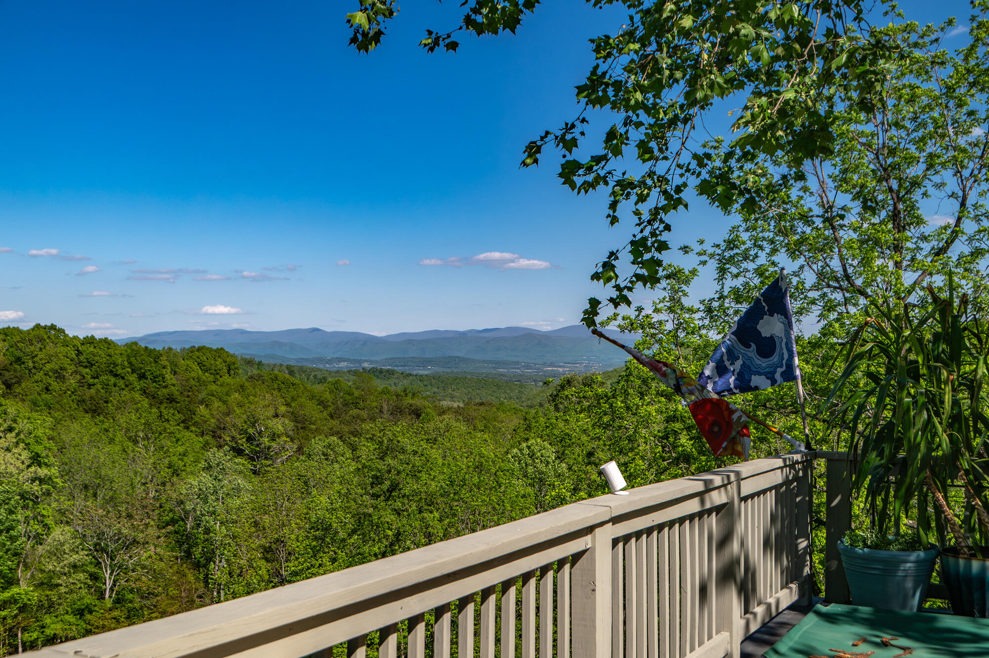 311 Higgins Hollow Rd