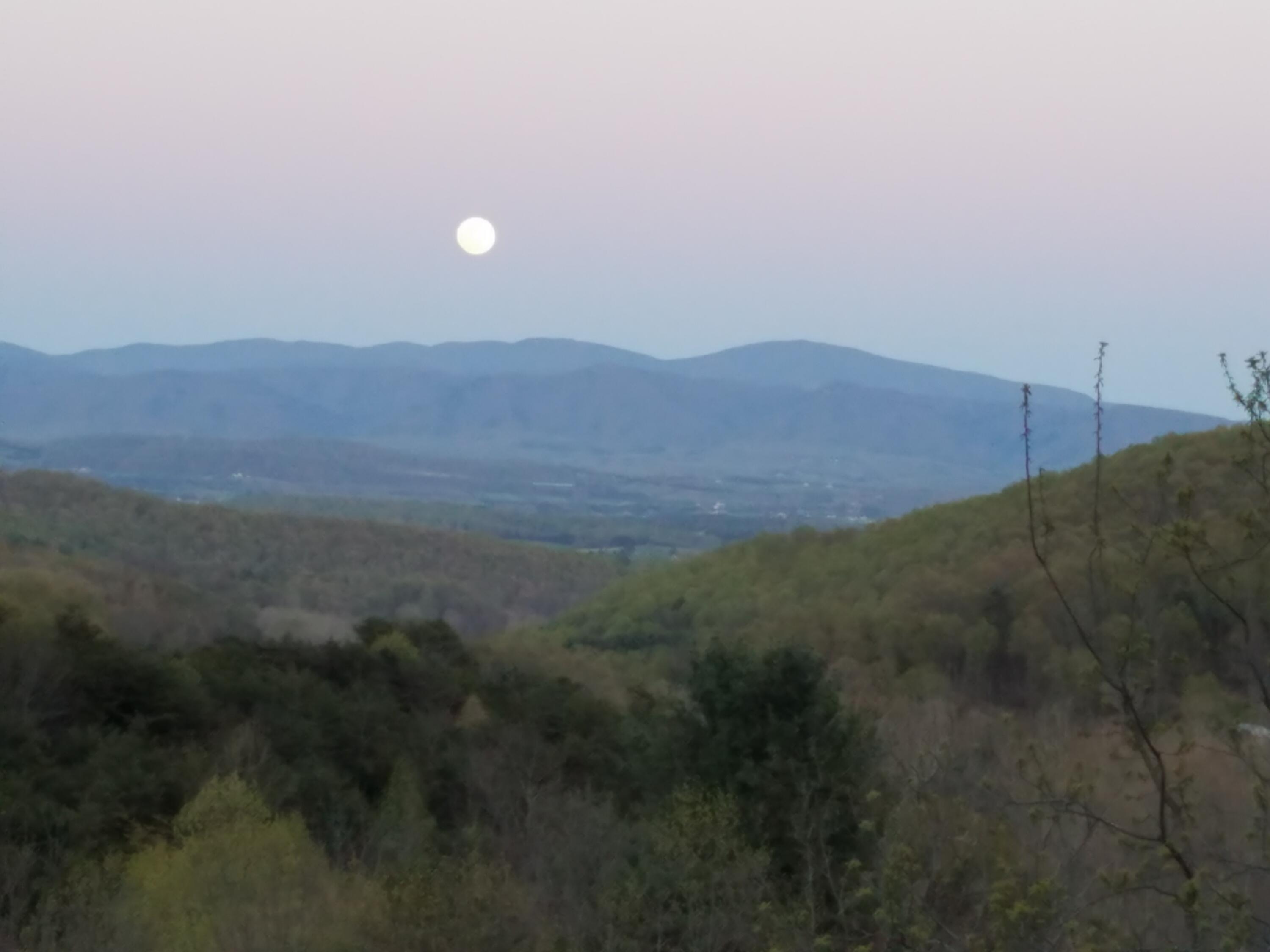 311 Higgins Hollow Rd