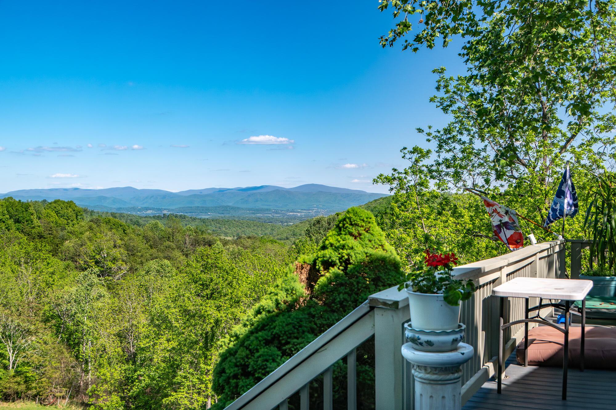 311 Higgins Hollow Rd