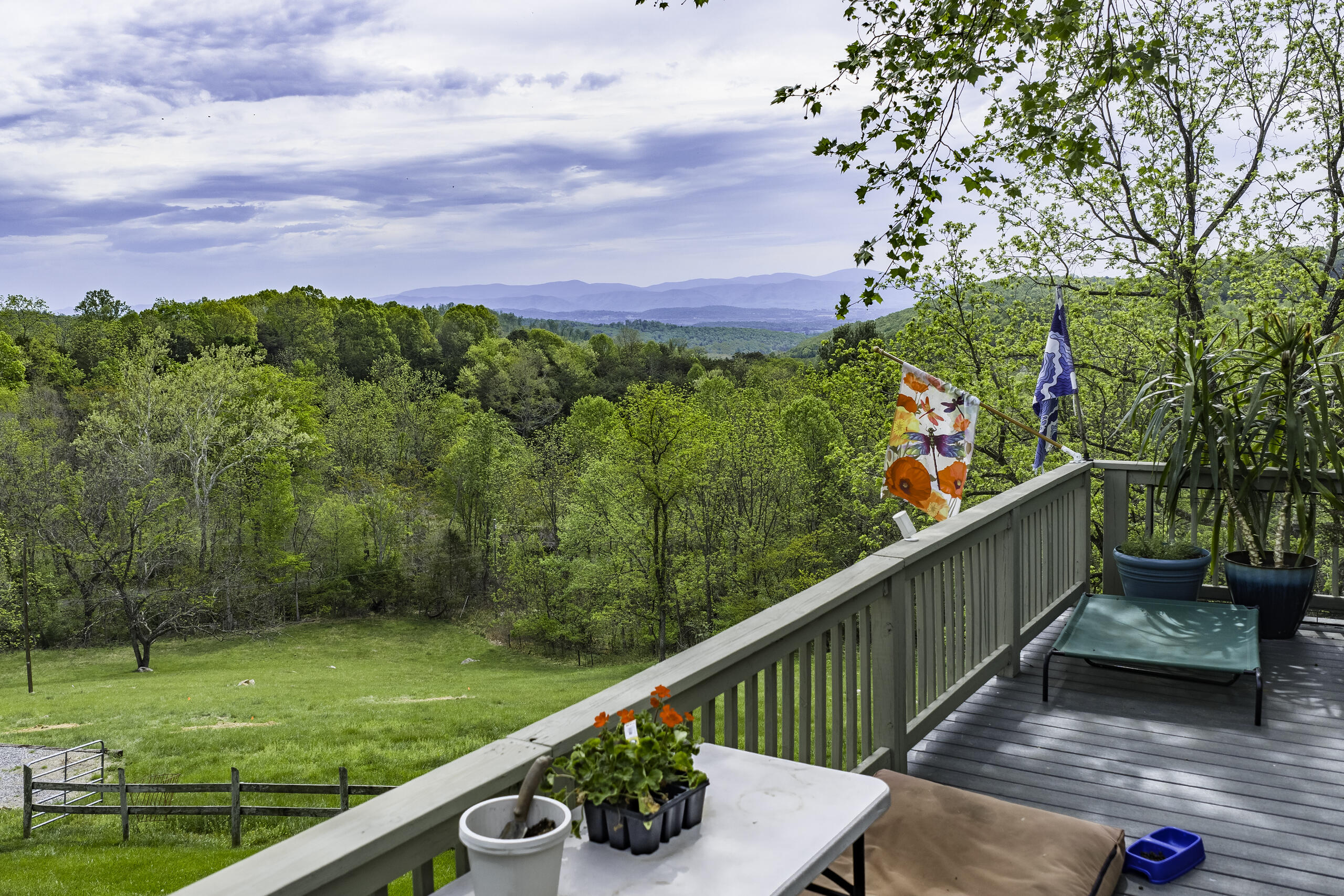 311 Higgins Hollow Rd