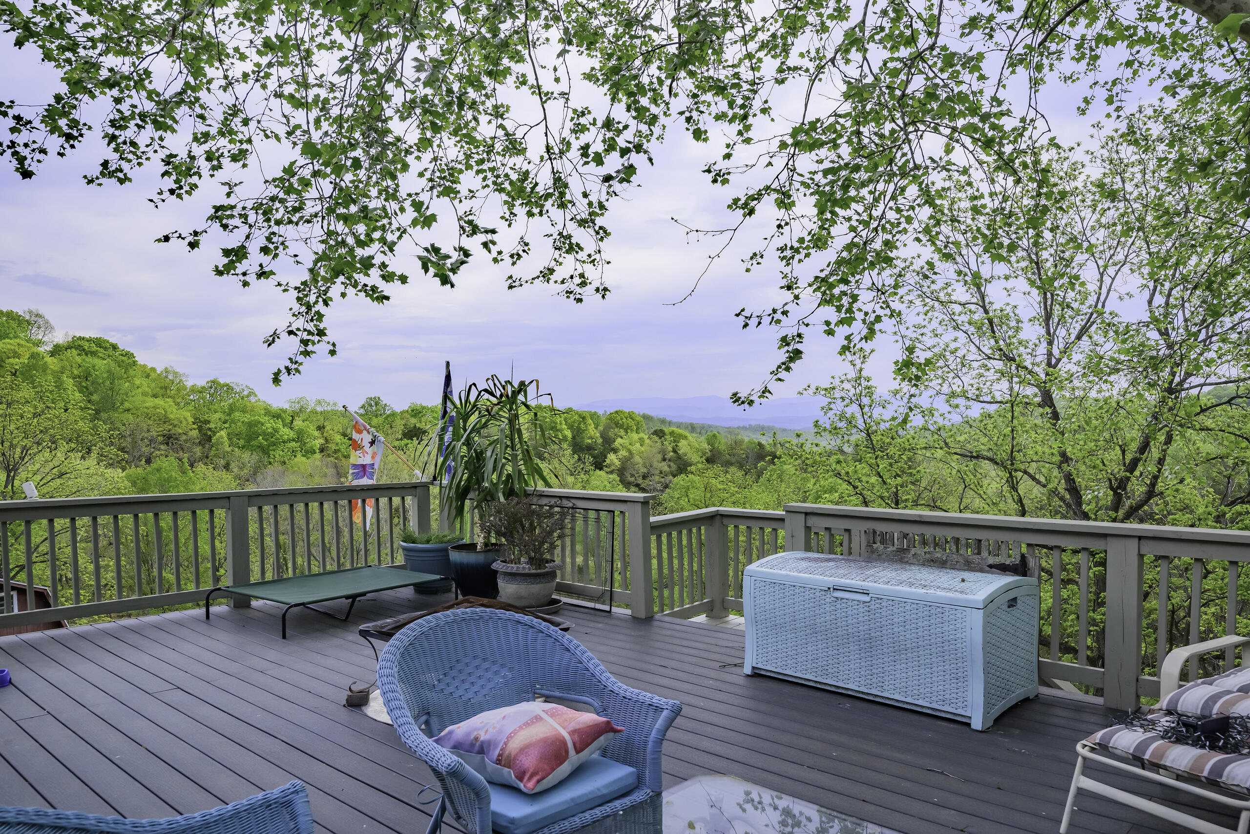 311 Higgins Hollow Rd