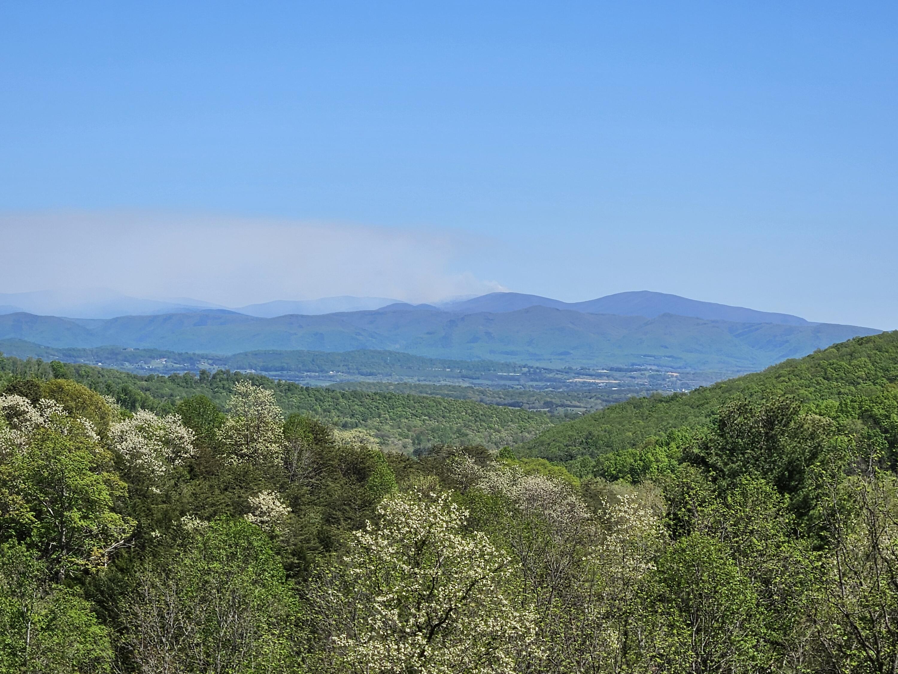 311 Higgins Hollow Rd