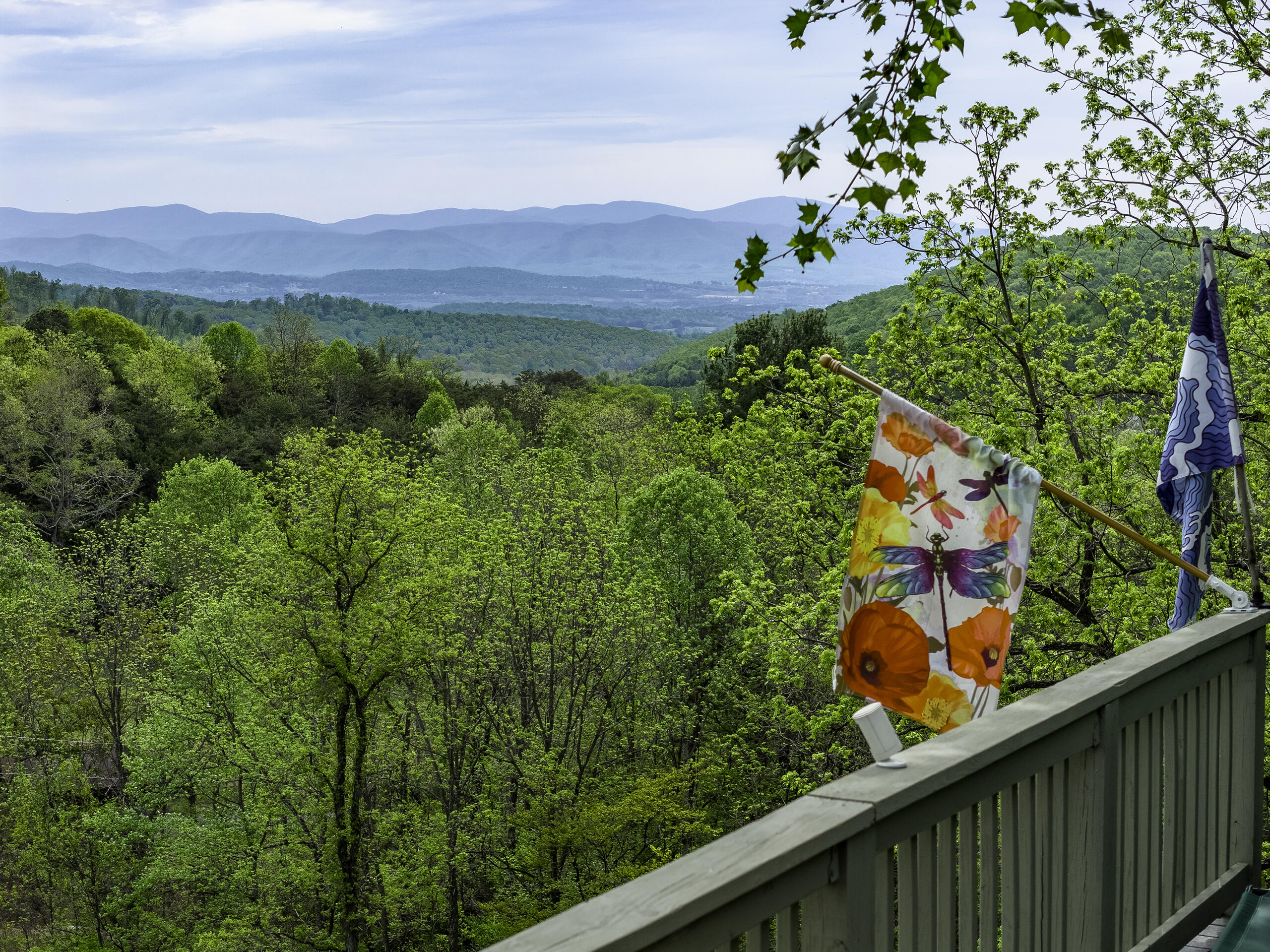 311 Higgins Hollow Rd