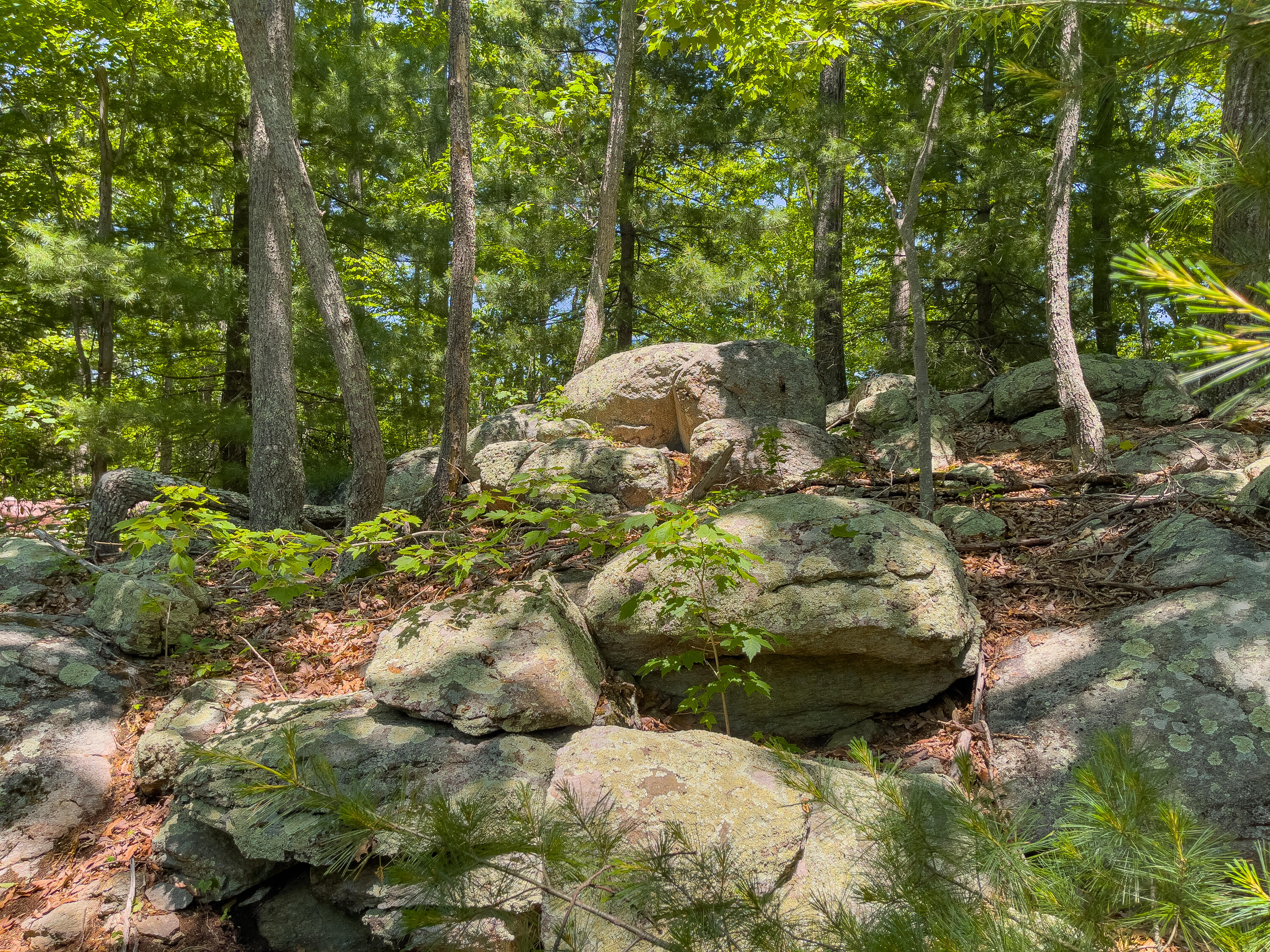 151 Stoneybrook Rd