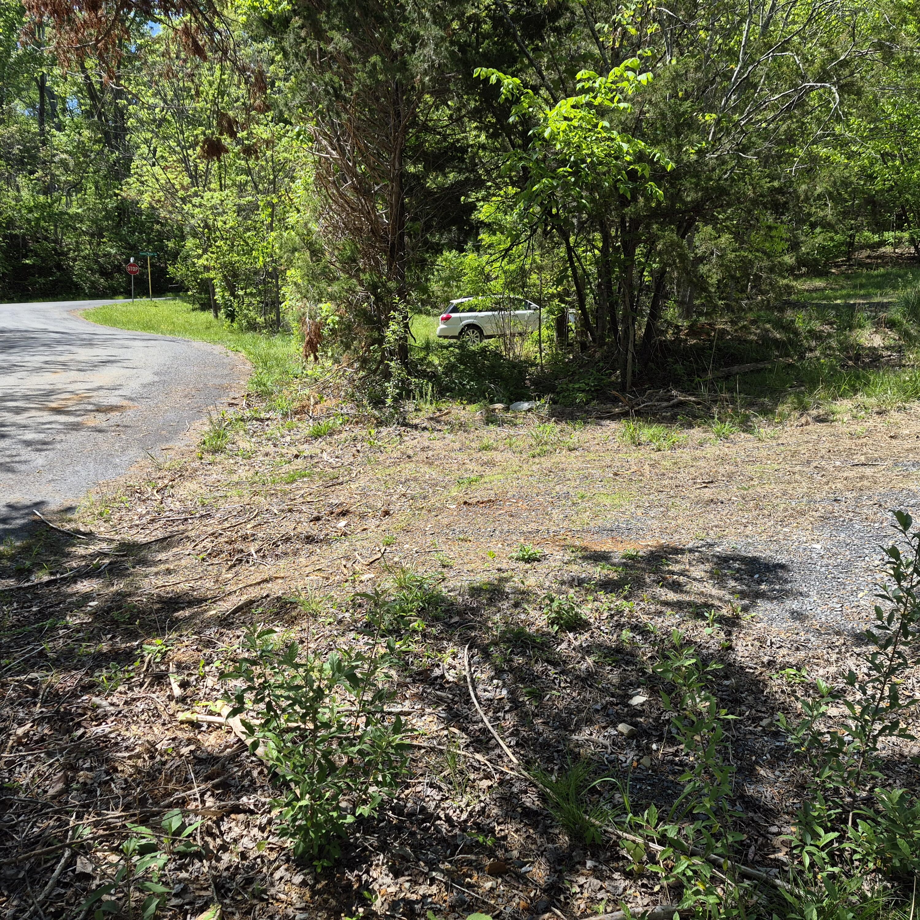 2 acres Coffey Hill Dr