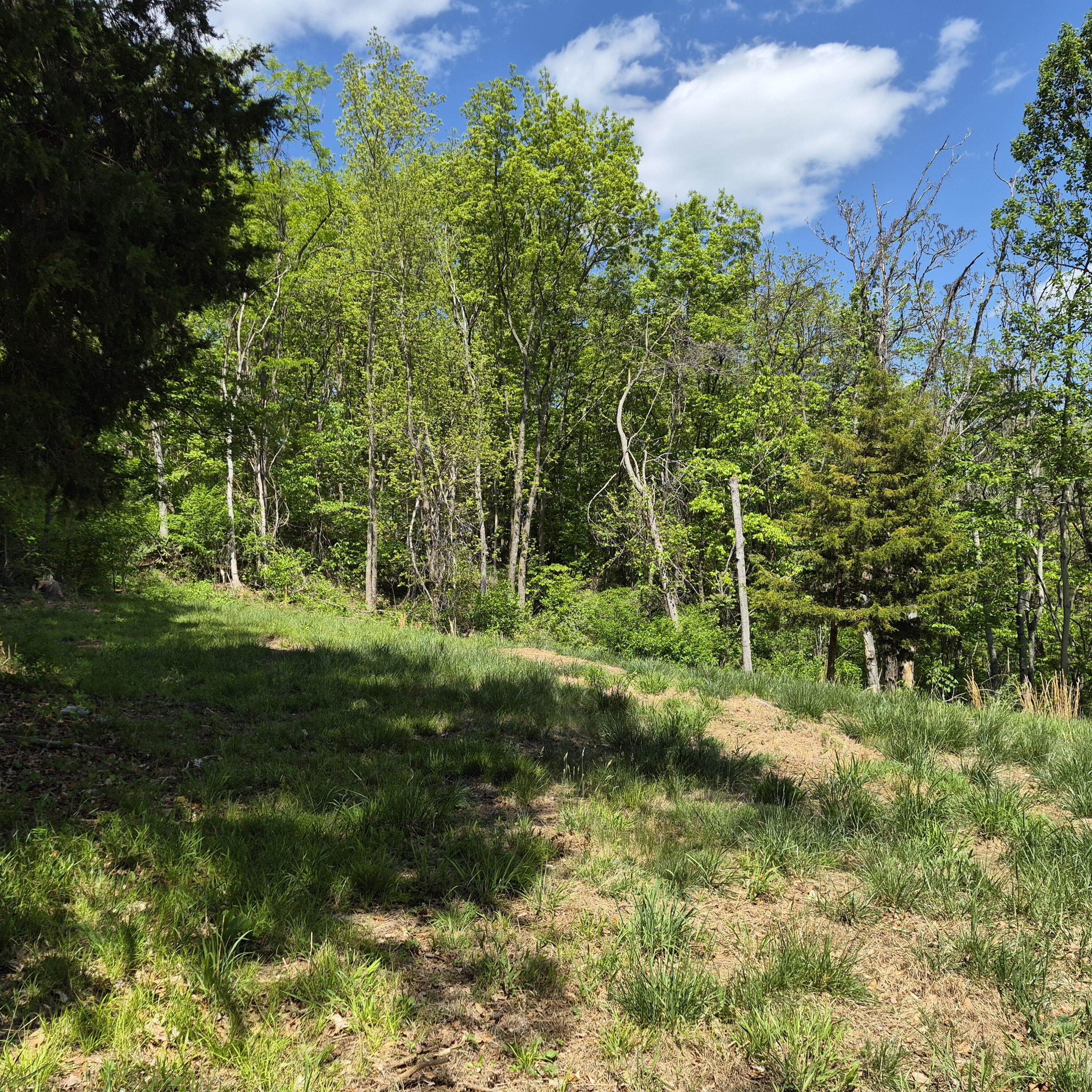 2 acres Coffey Hill Dr