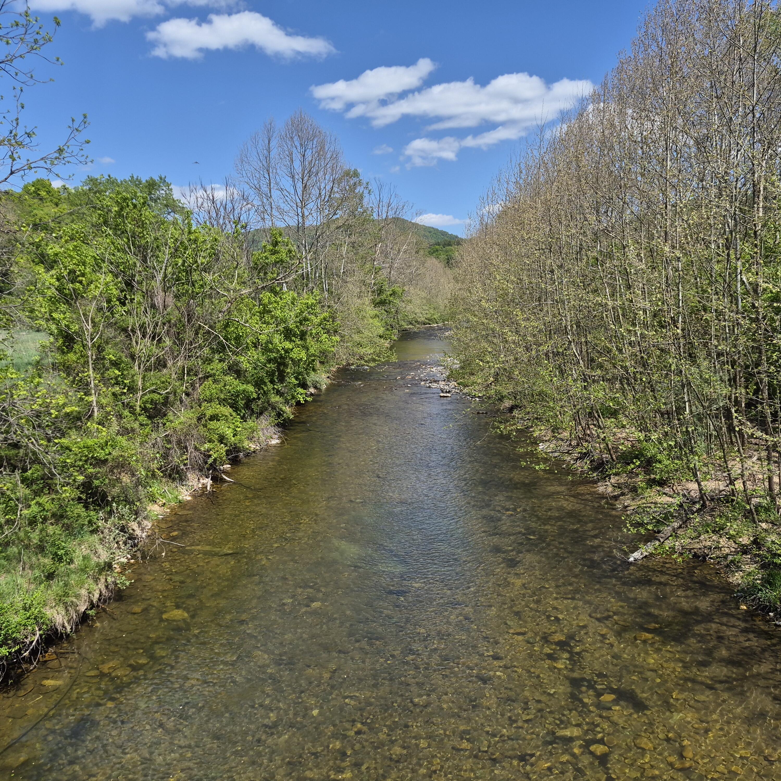 2 acres Coffey Hill Dr