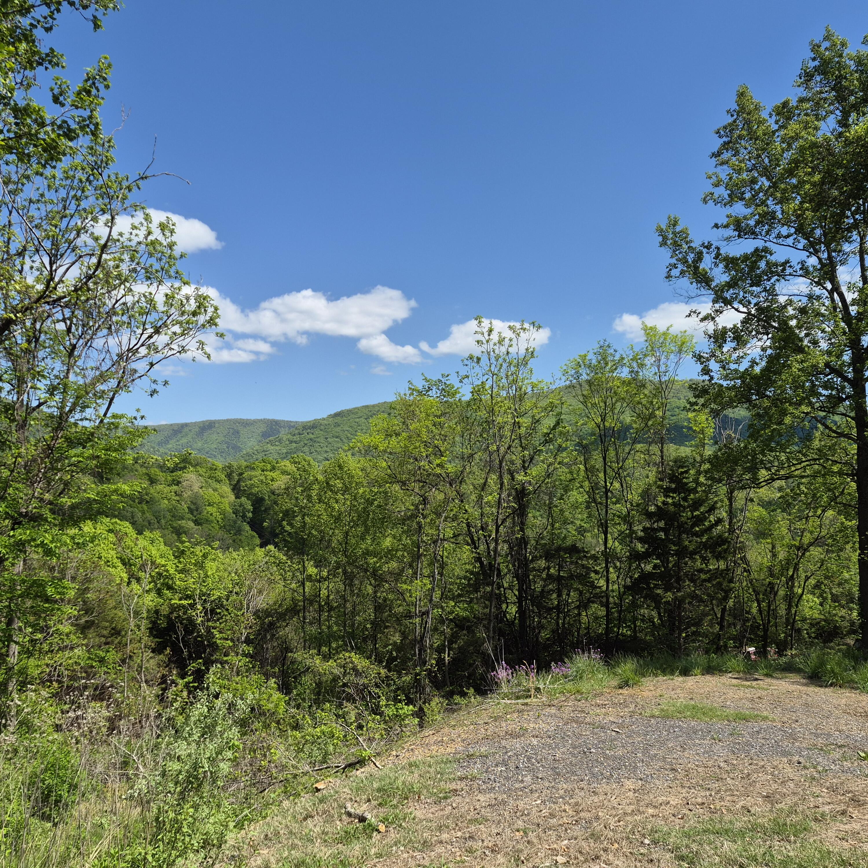 2 acres Coffey Hill Dr