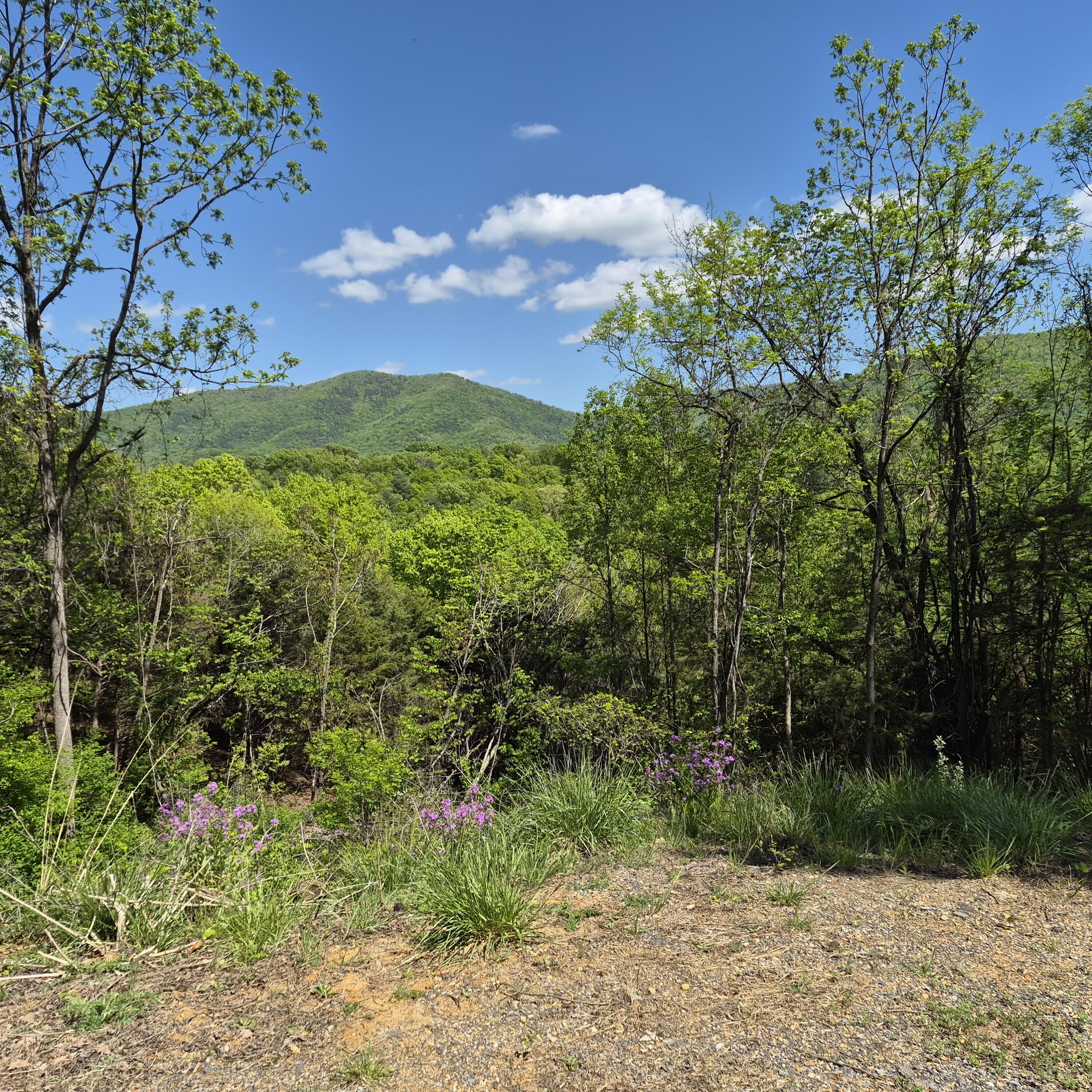 2 acres Coffey Hill Dr