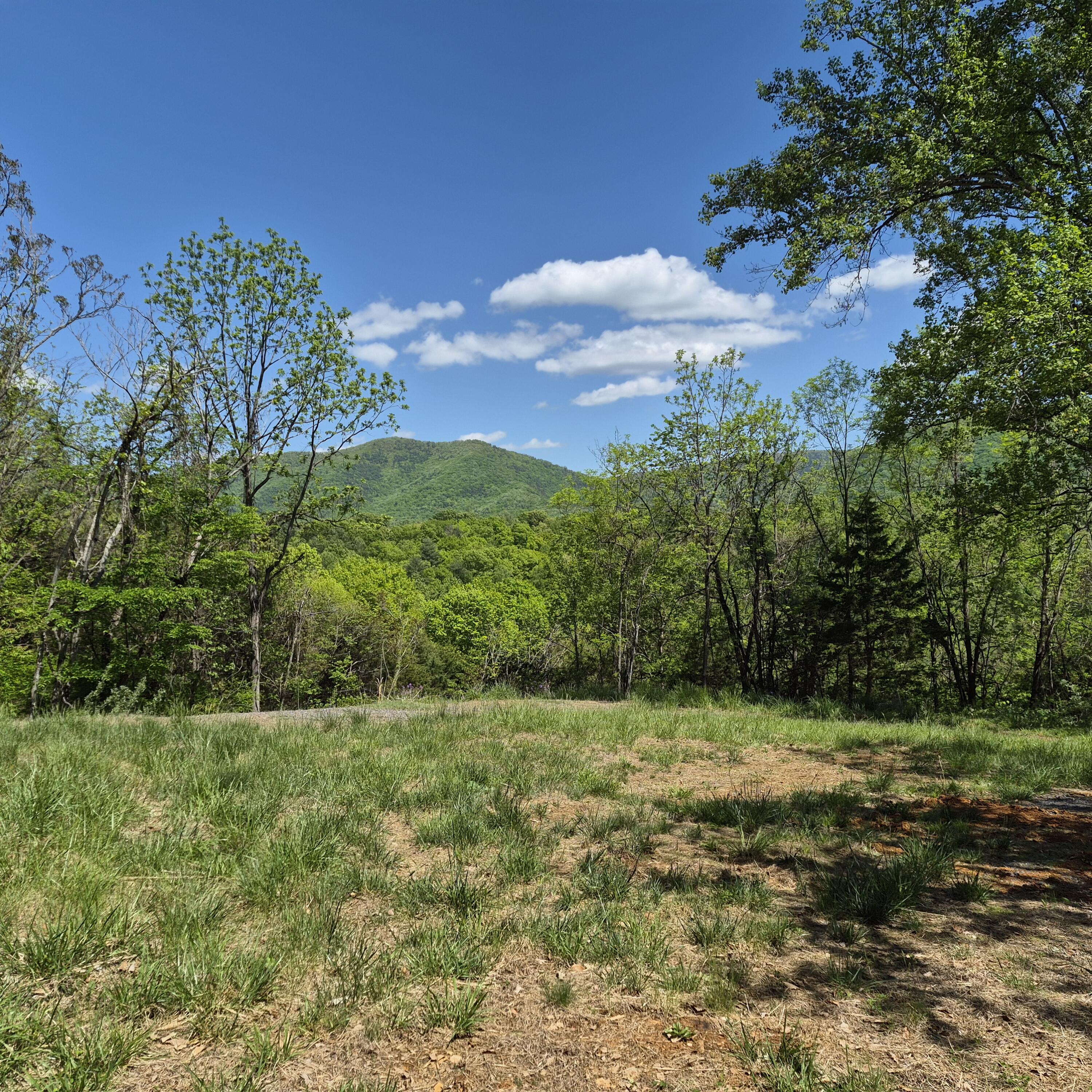 2 acres Coffey Hill Dr