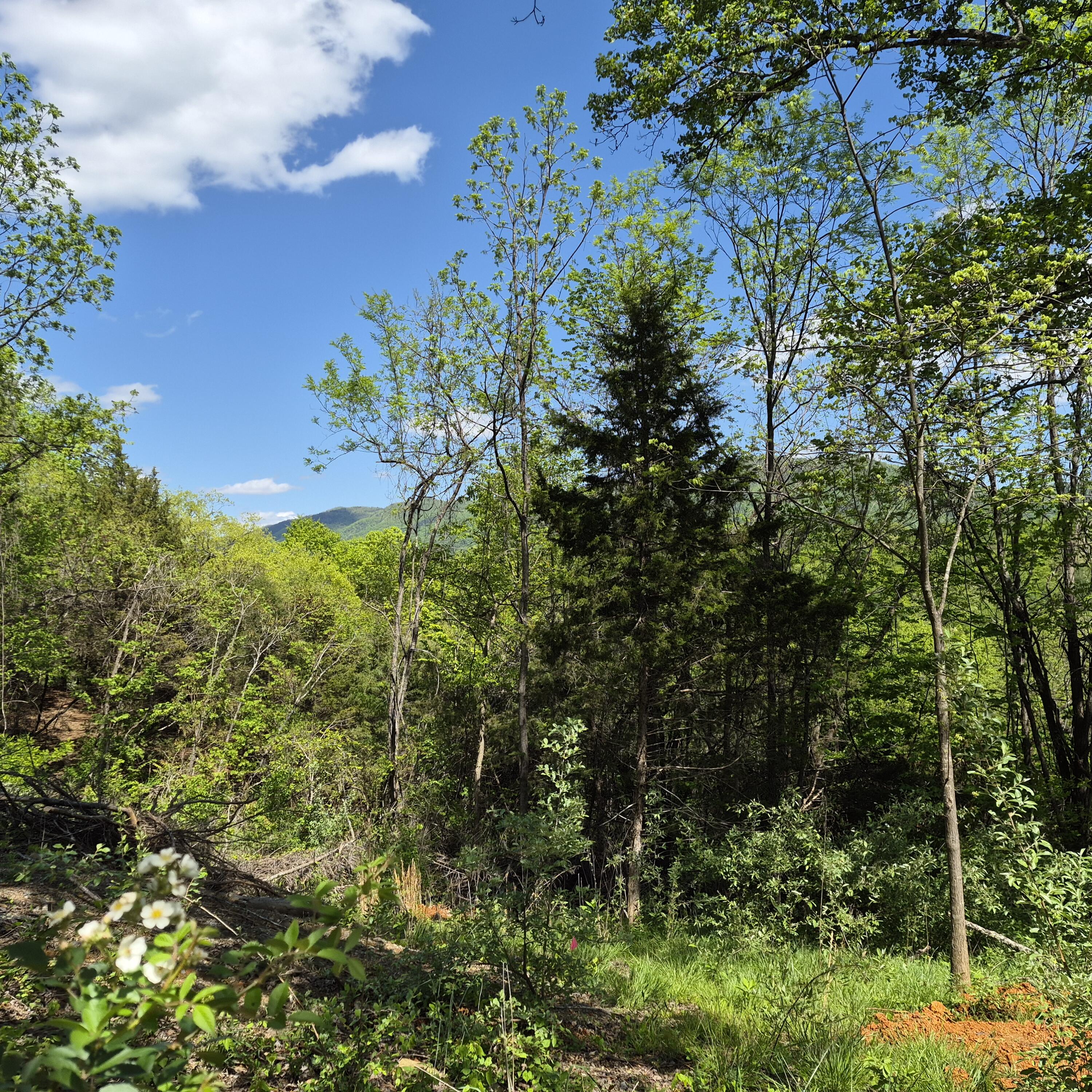 2 acres Coffey Hill Dr