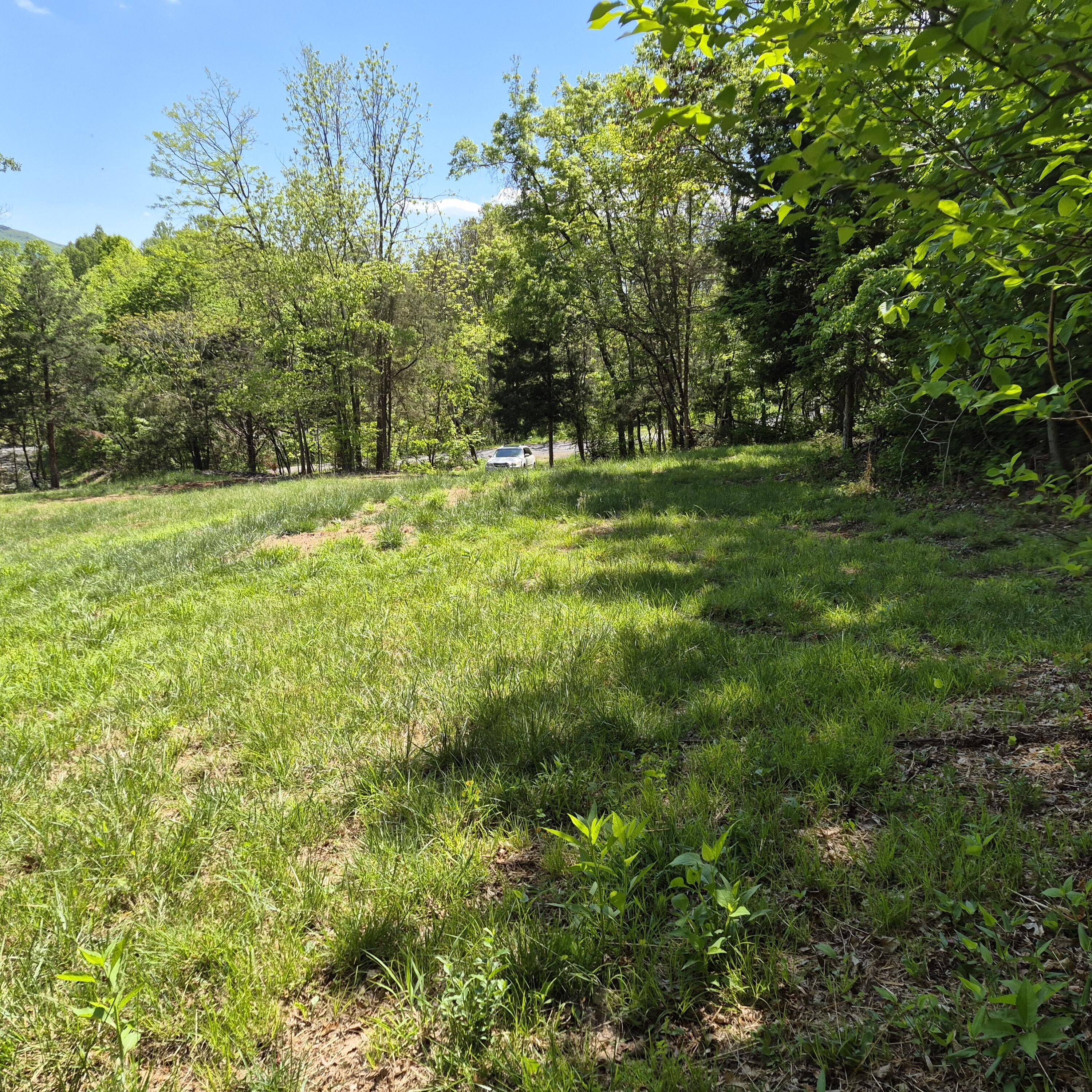 2 acres Coffey Hill Dr