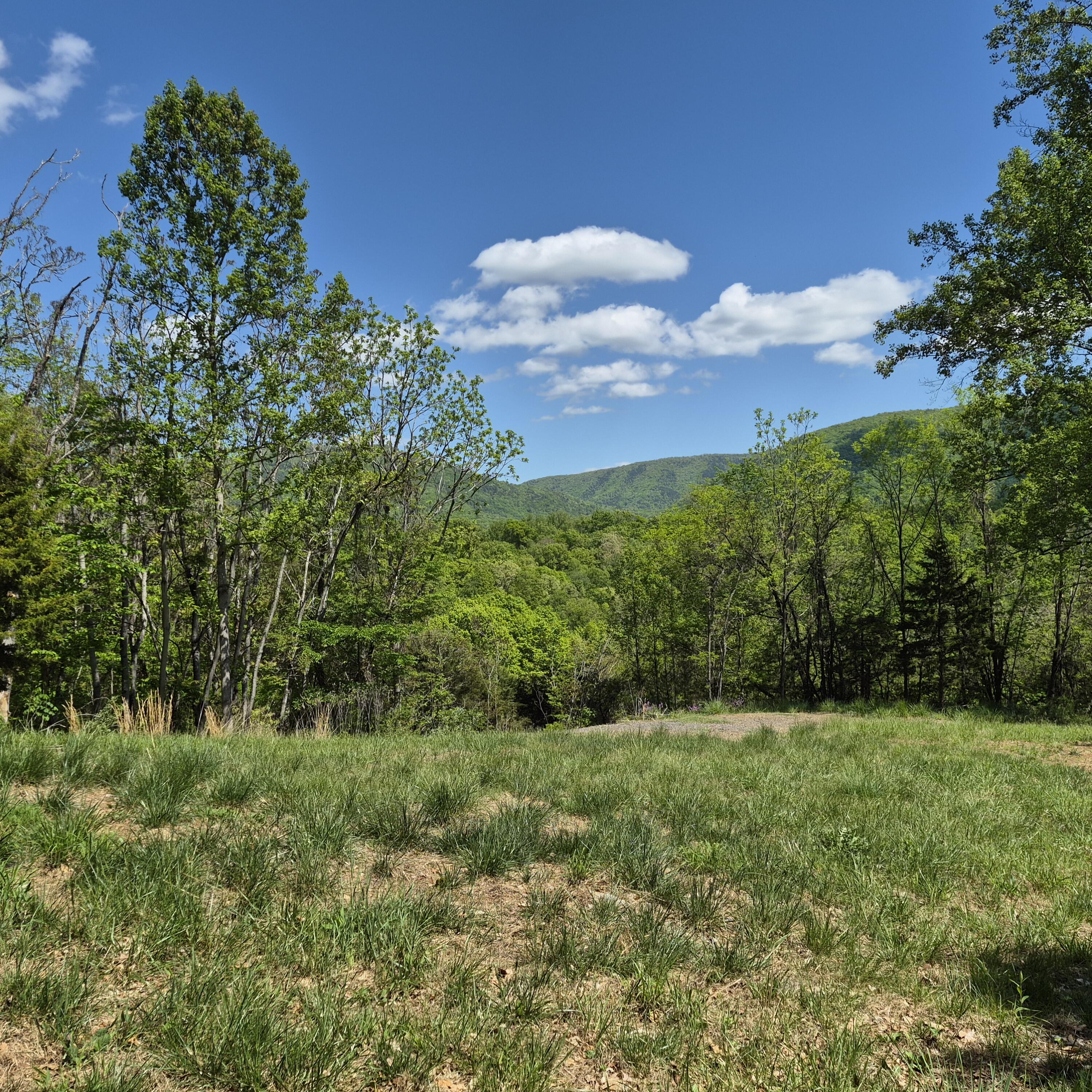 2 acres Coffey Hill Dr