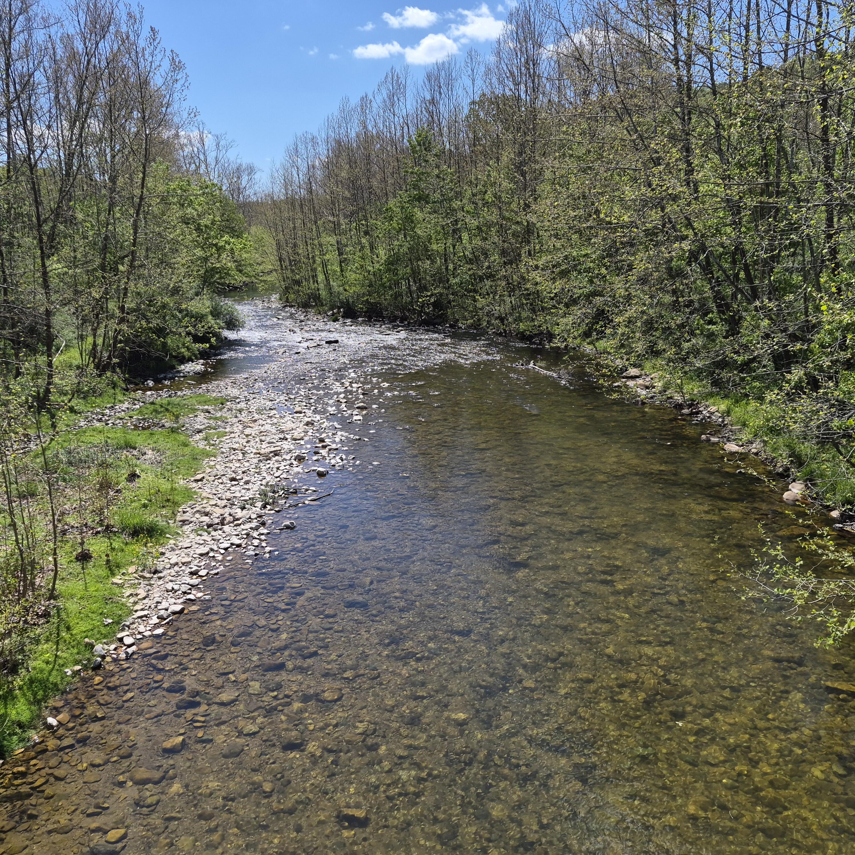 2 acres Coffey Hill Dr