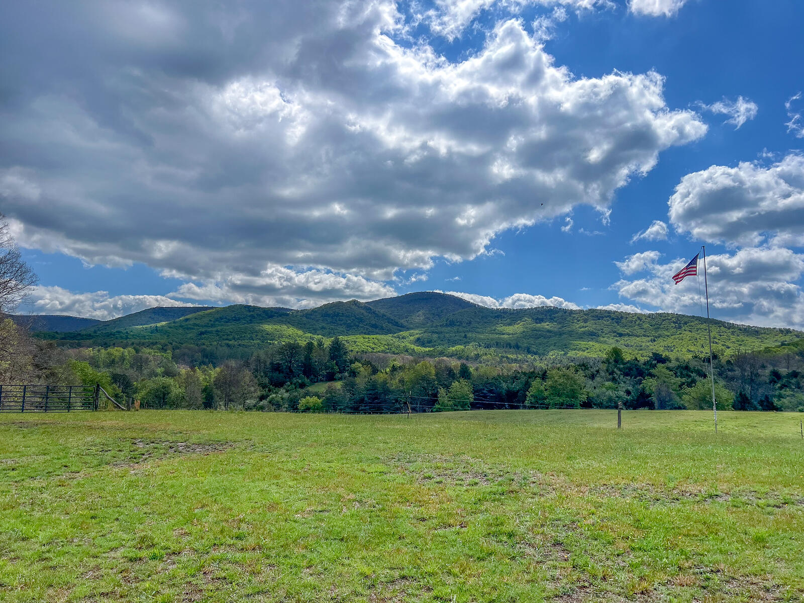 694 Rockbridge Alum Springs Rd