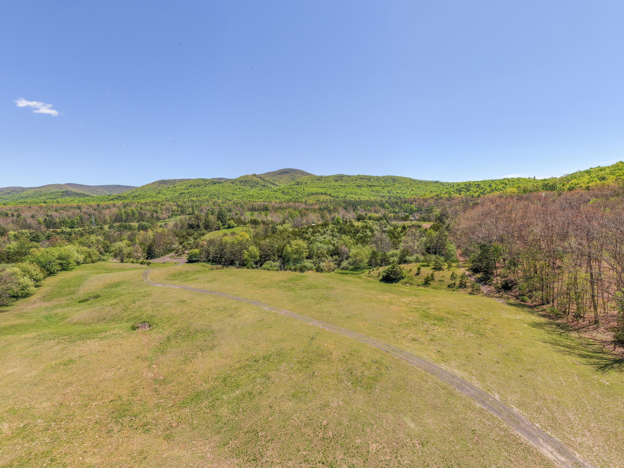 694 Rockbridge Alum Springs Rd
