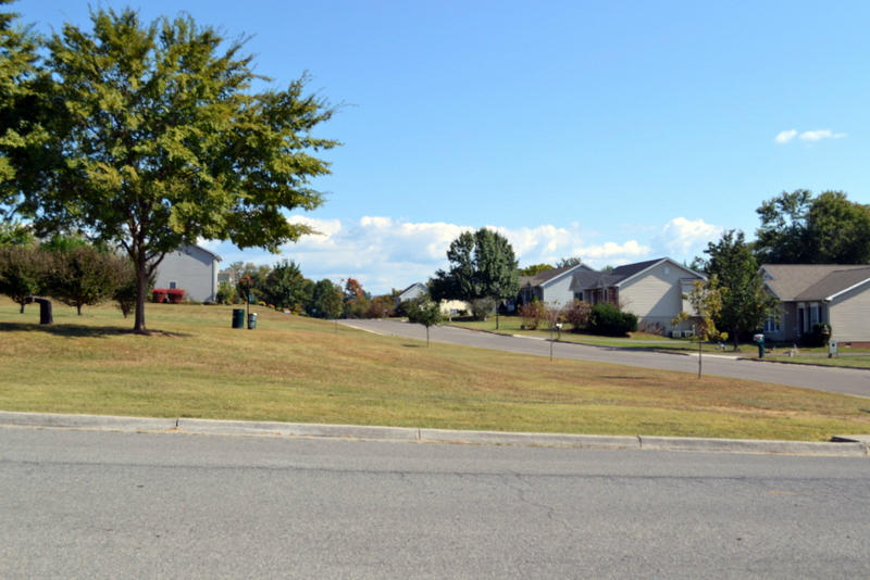 245 DENNY Ln