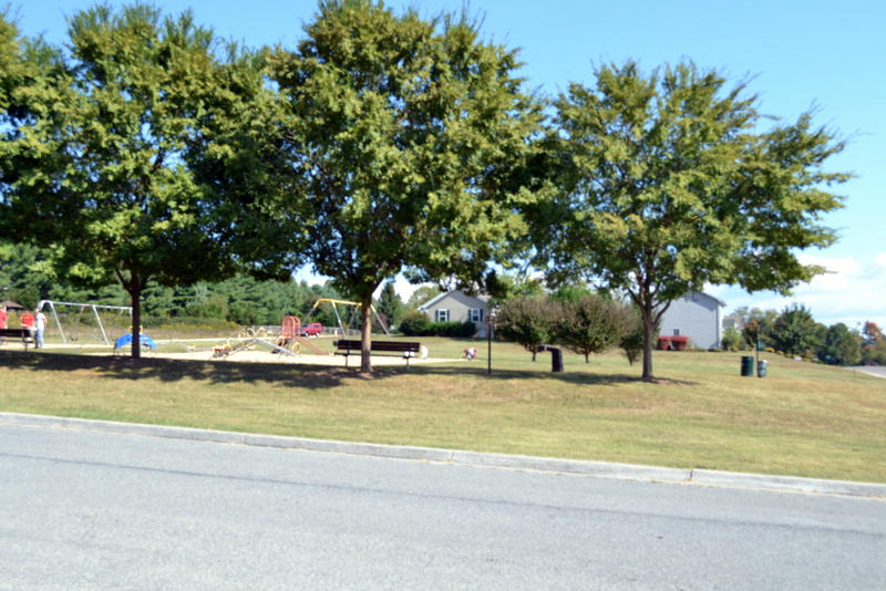 245 DENNY Ln