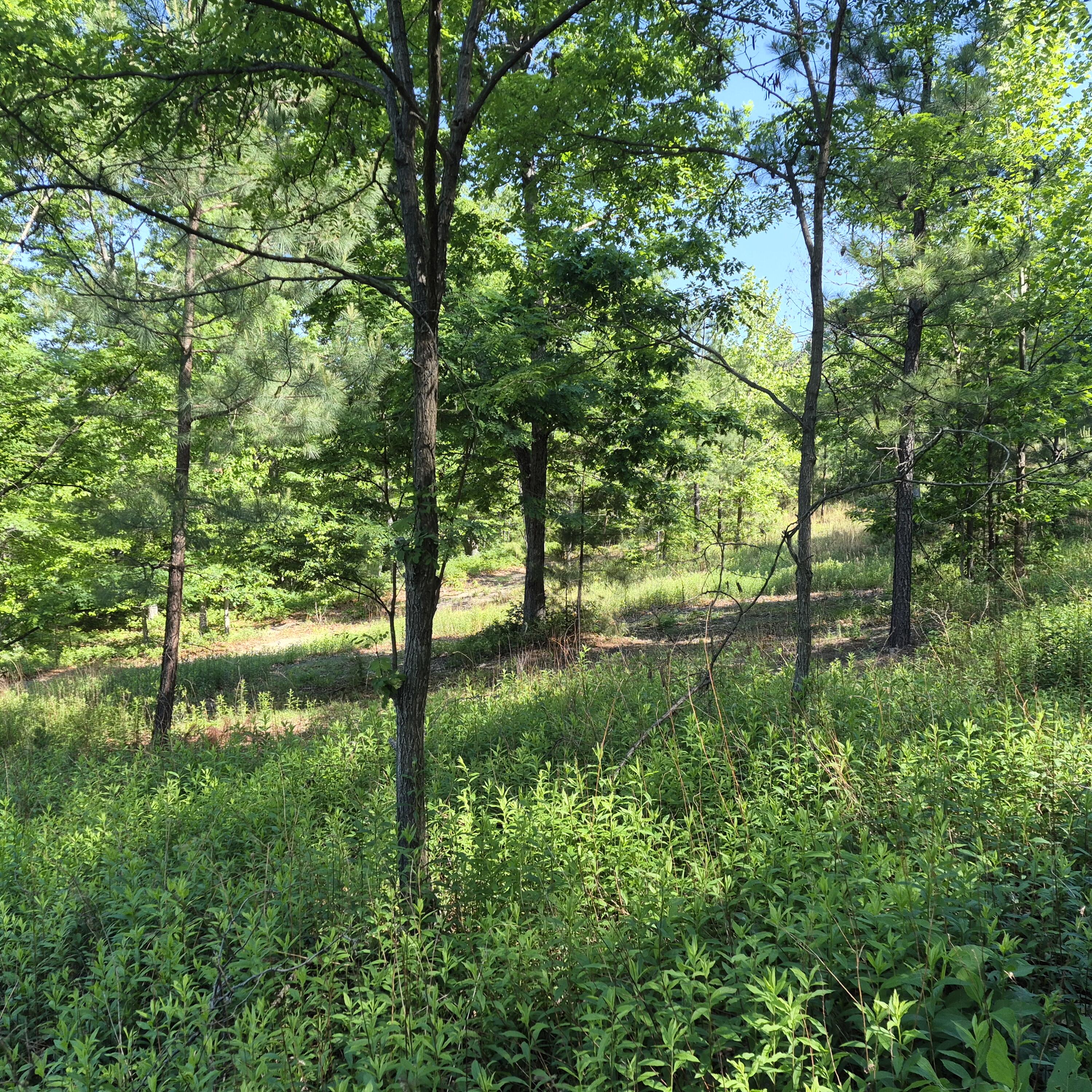 18 Acres Blake Rd
