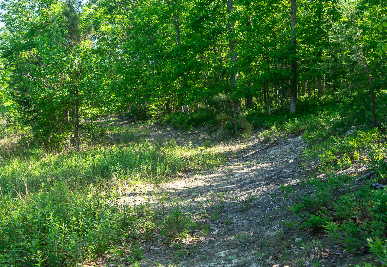 18 Acres Blake Rd
