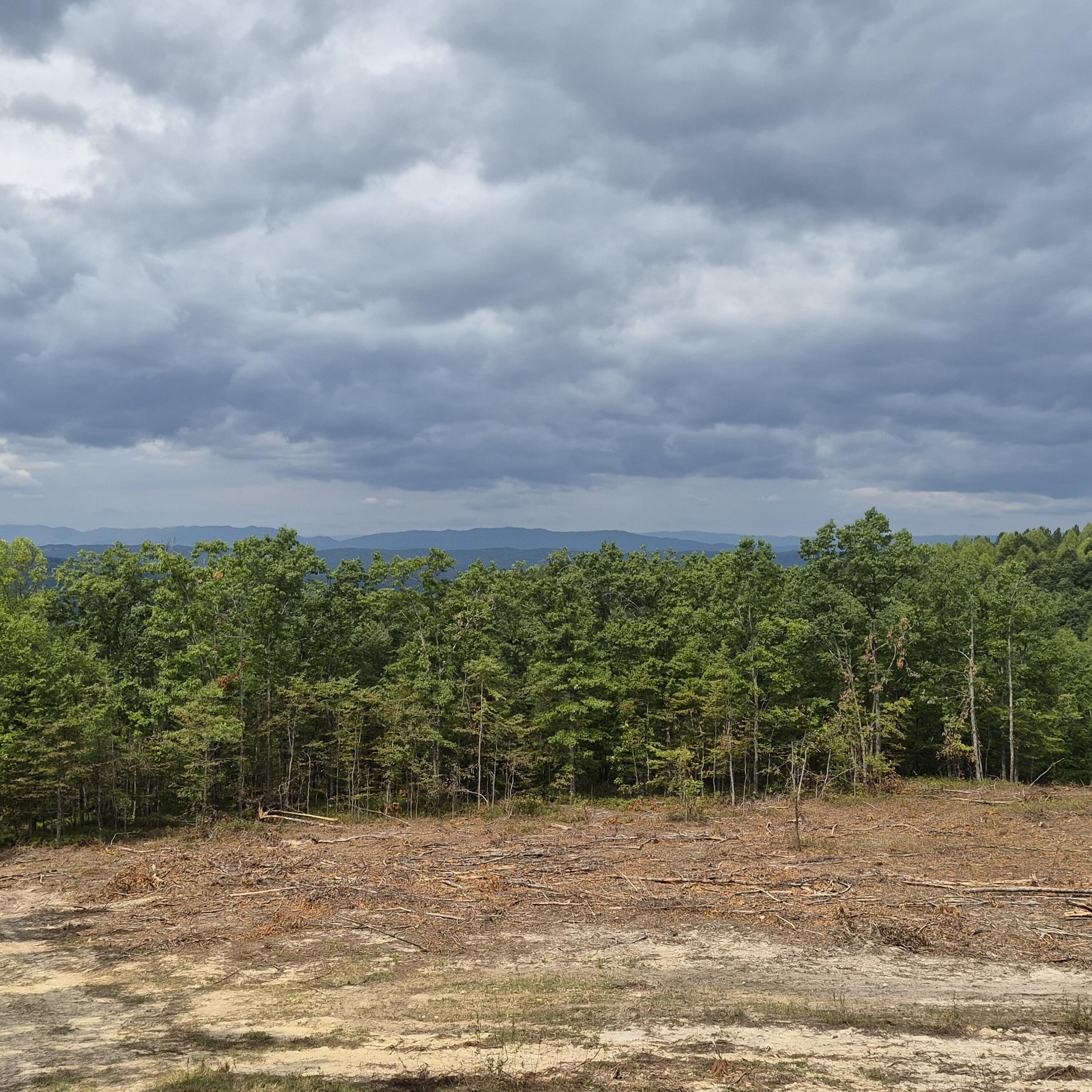 18 Acres Blake Rd