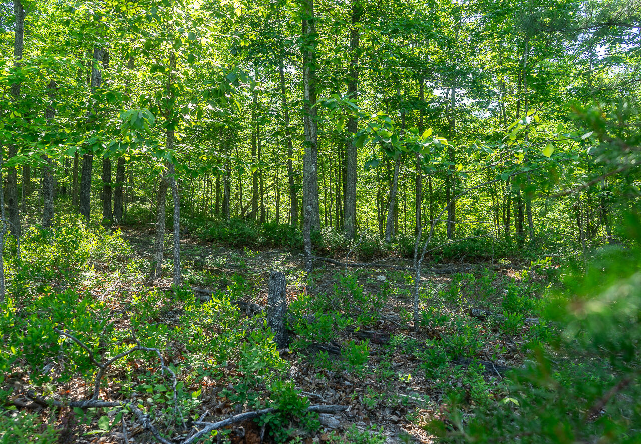 18 Acres Blake Rd