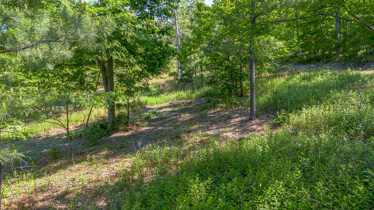 18 Acres Blake Rd