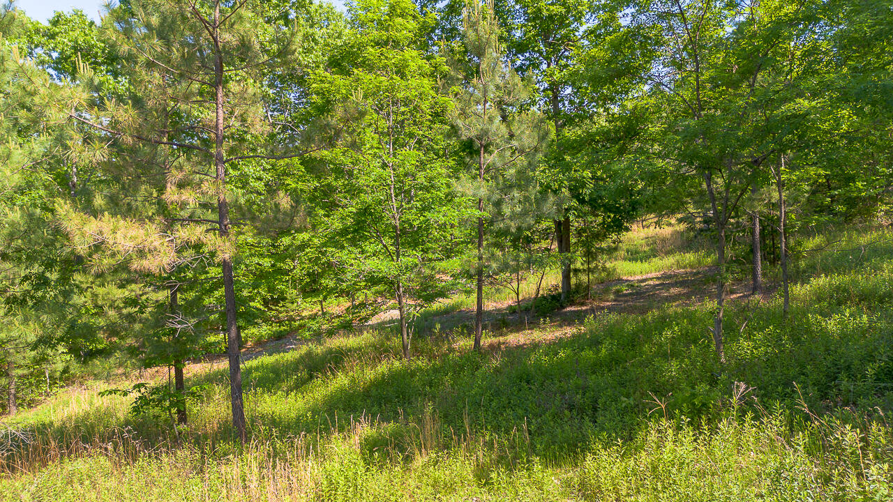 18 Acres Blake Rd