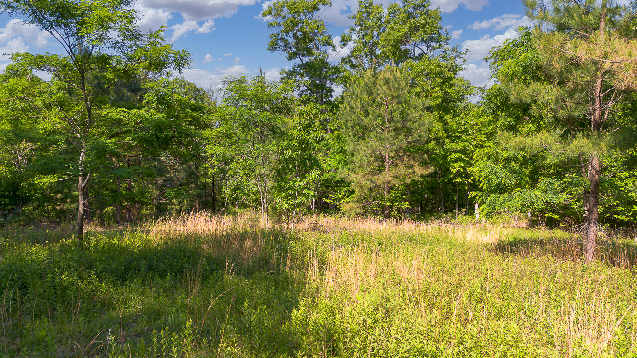 18 Acres Blake Rd