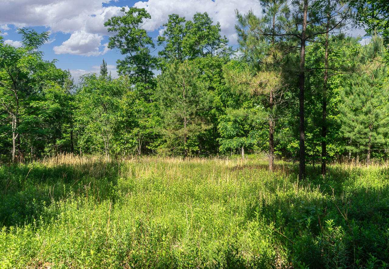 18 Acres Blake Rd