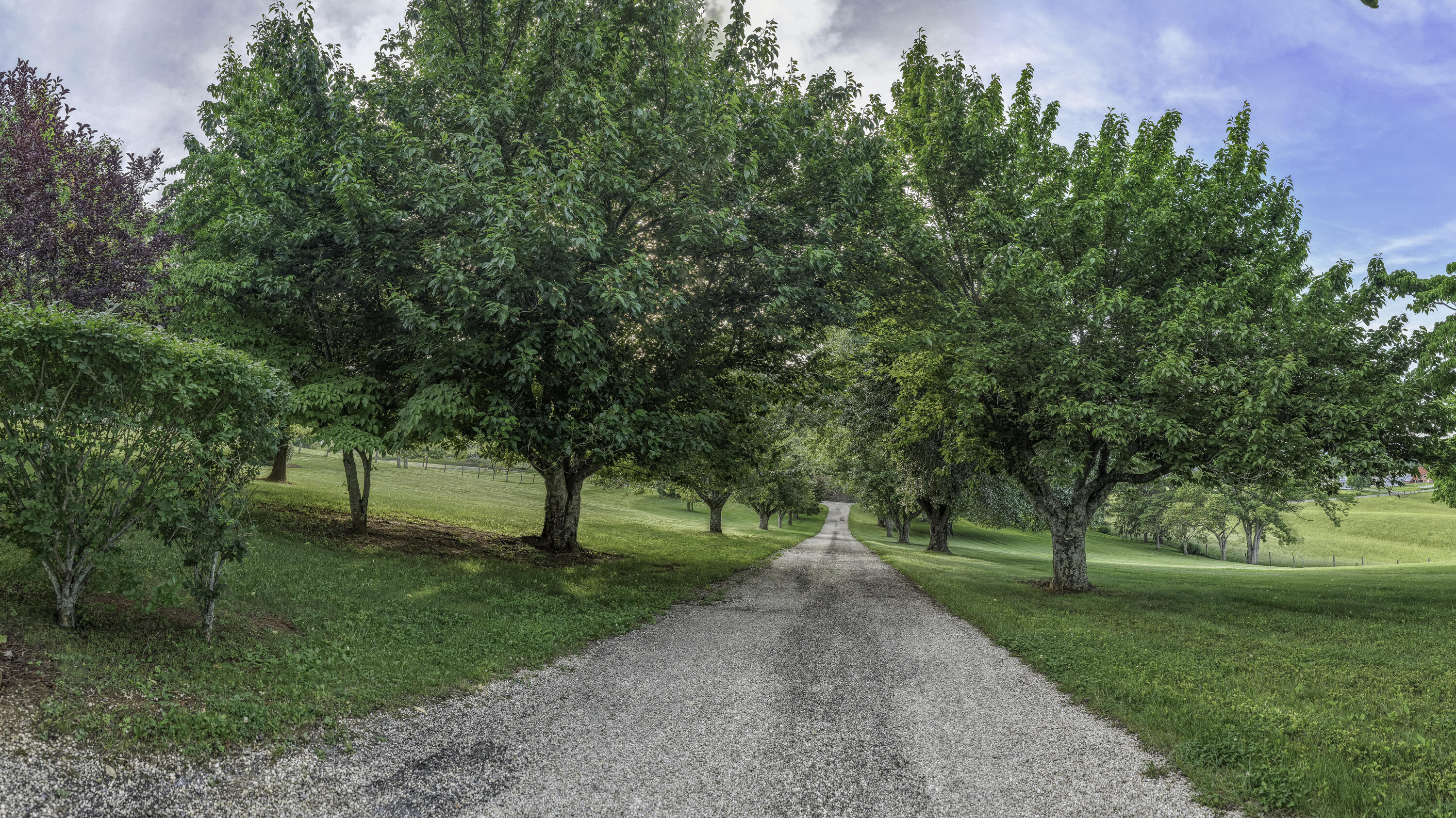 1274 Maury River Rd