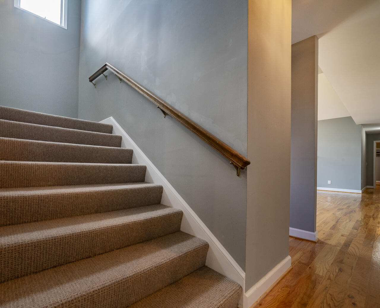 150 Forest Hill View