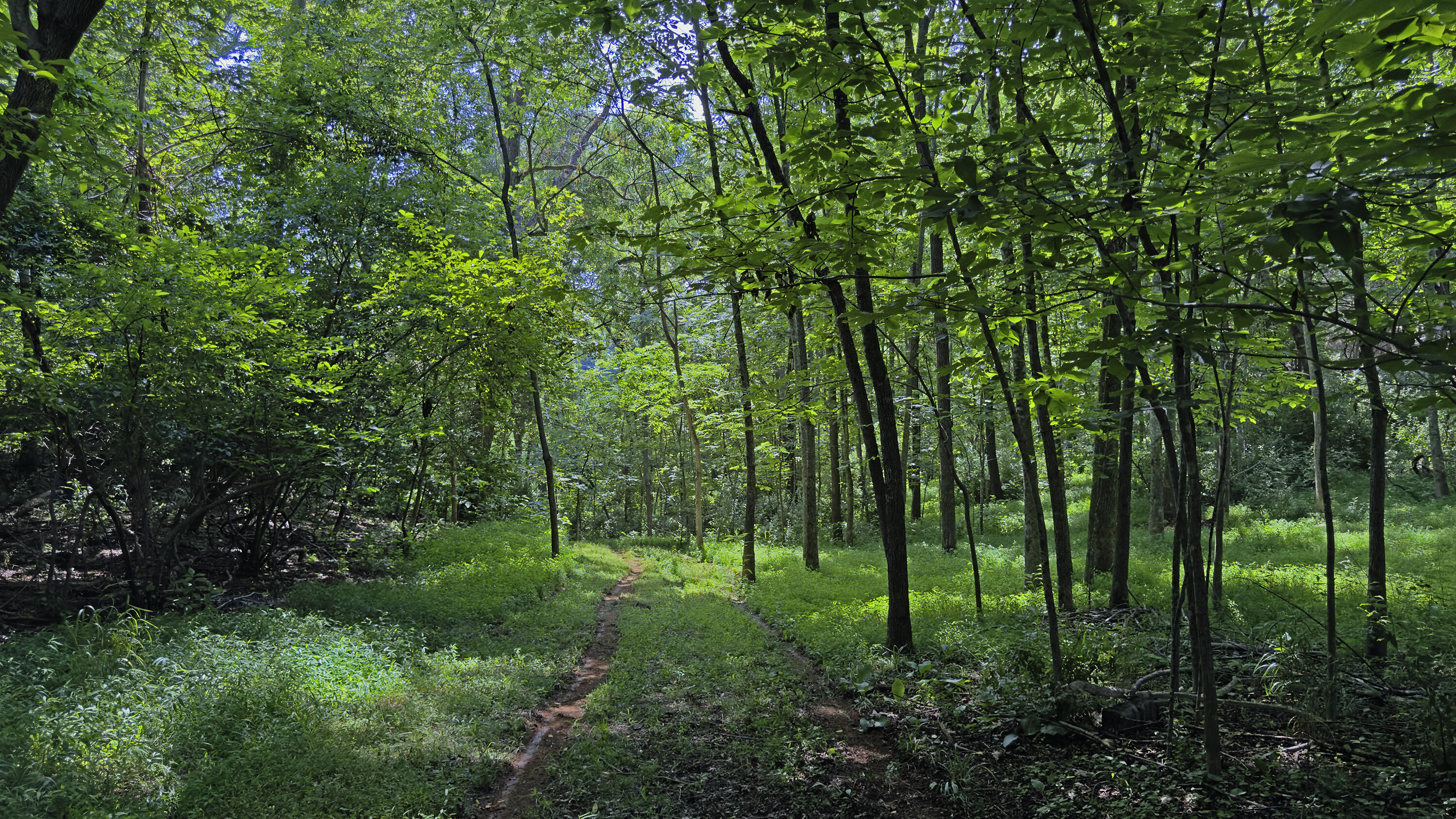 Lot 6 Ridgefield Way