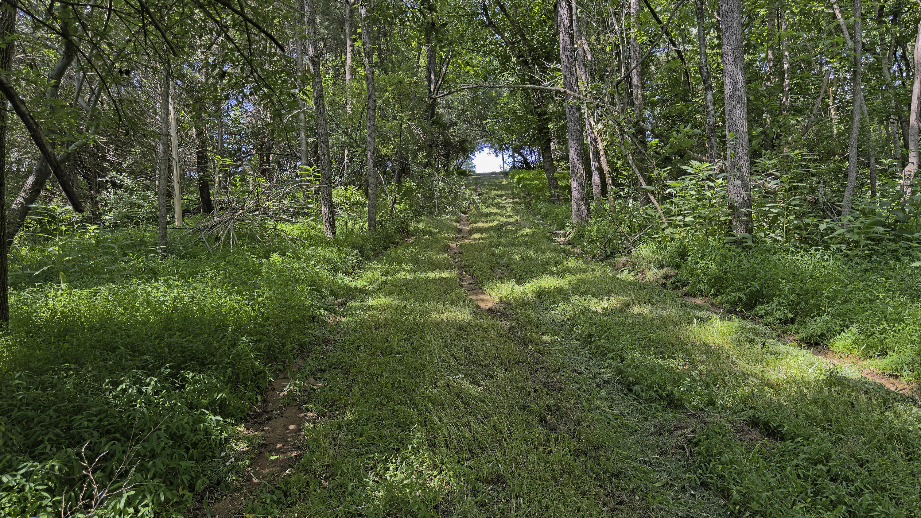 Lot 6 Ridgefield Way