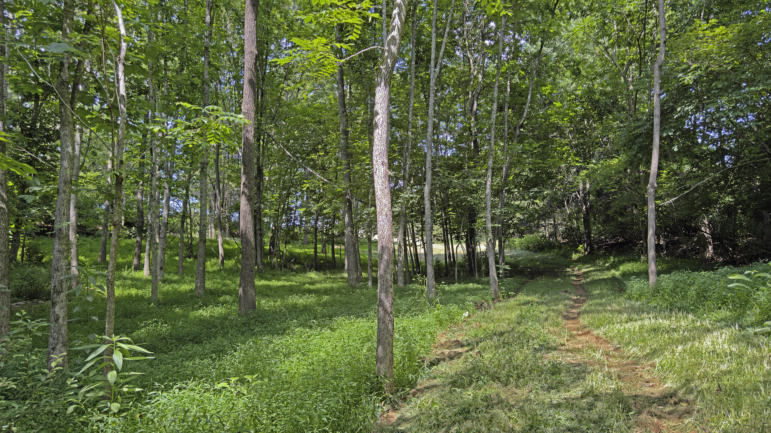 Lot 6 Ridgefield Way