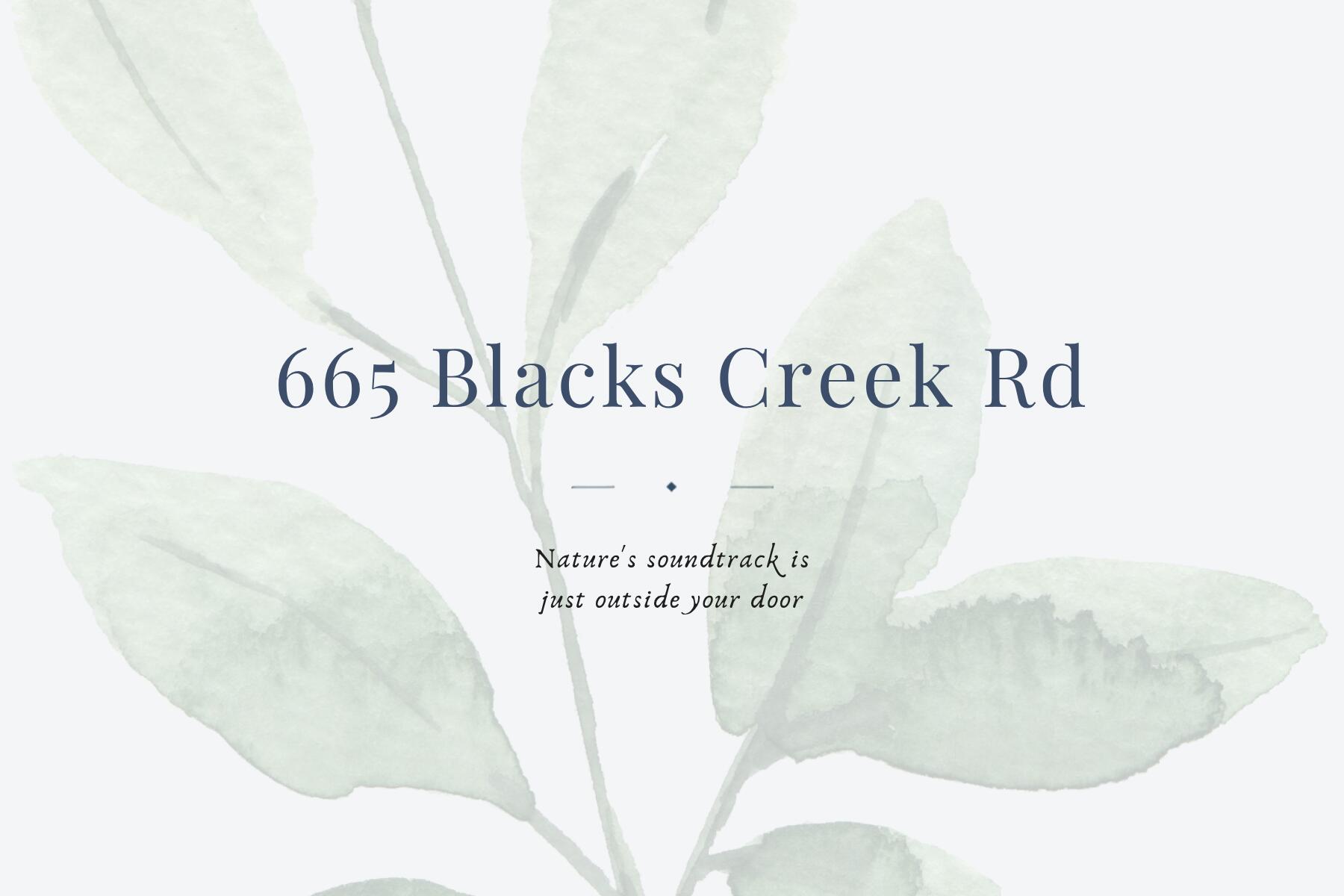 665 Blacks Creek Rd