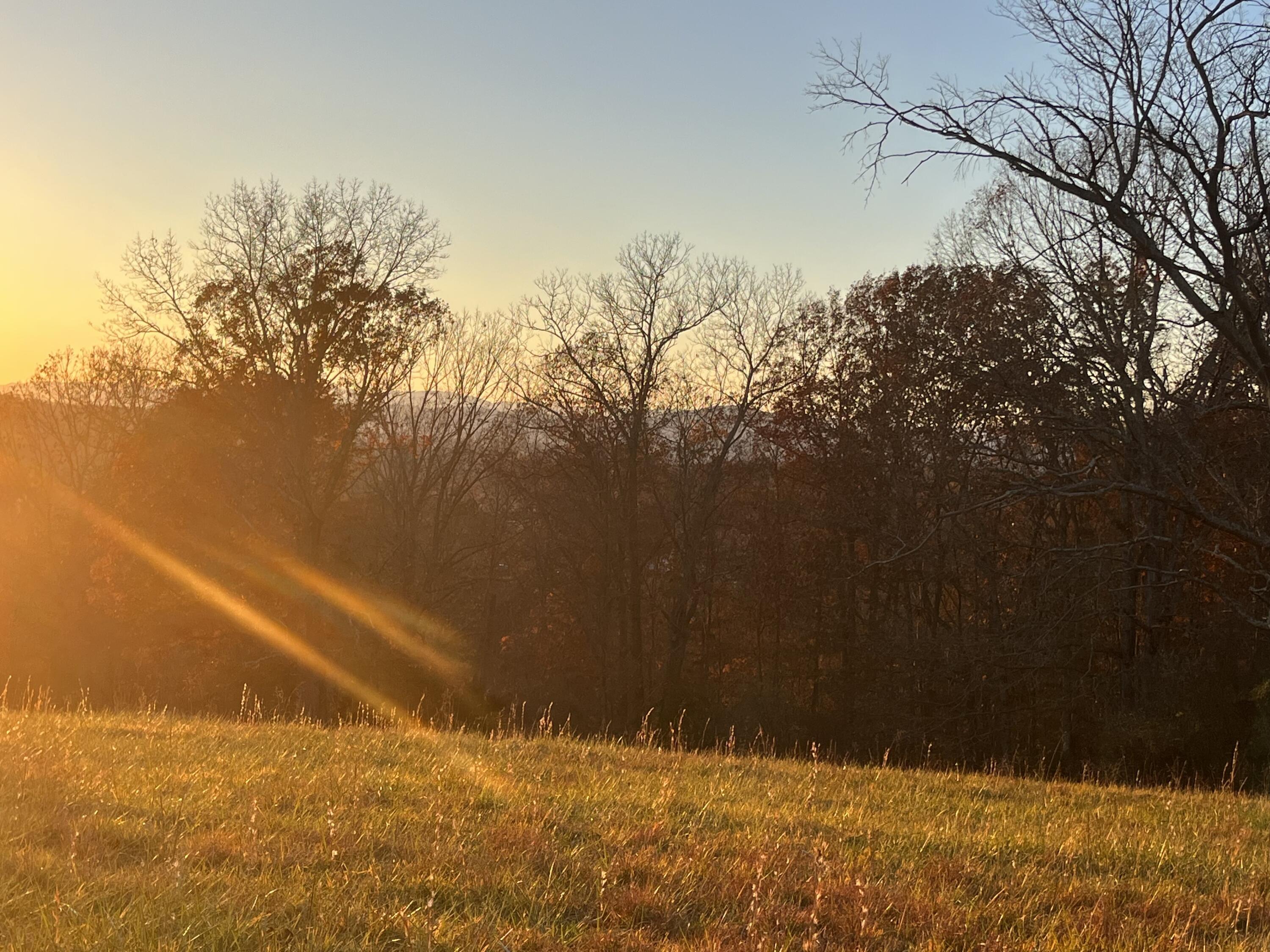 Lot 3 Longview Meadow Dr
