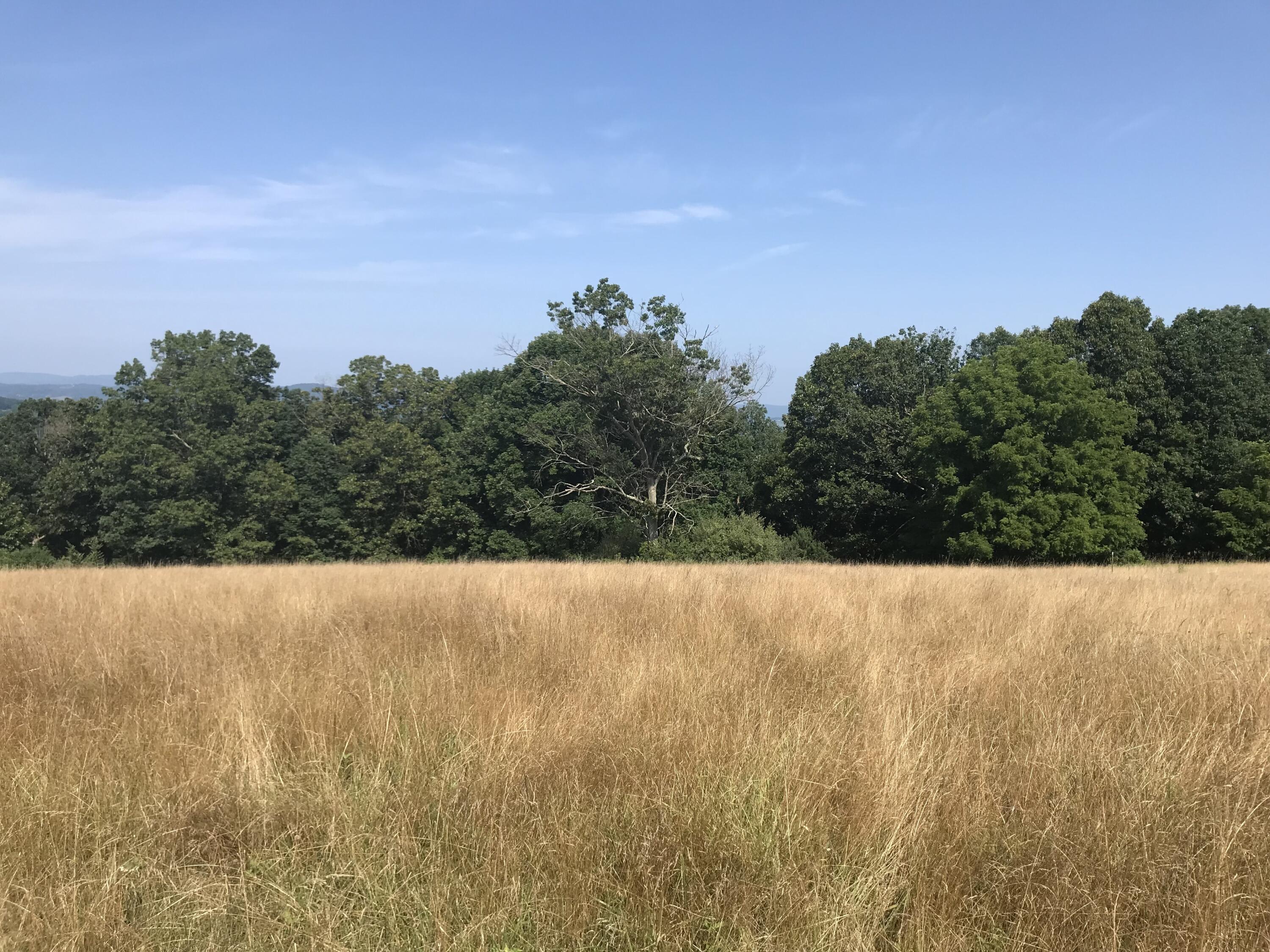 Lot 3 Longview Meadow Dr