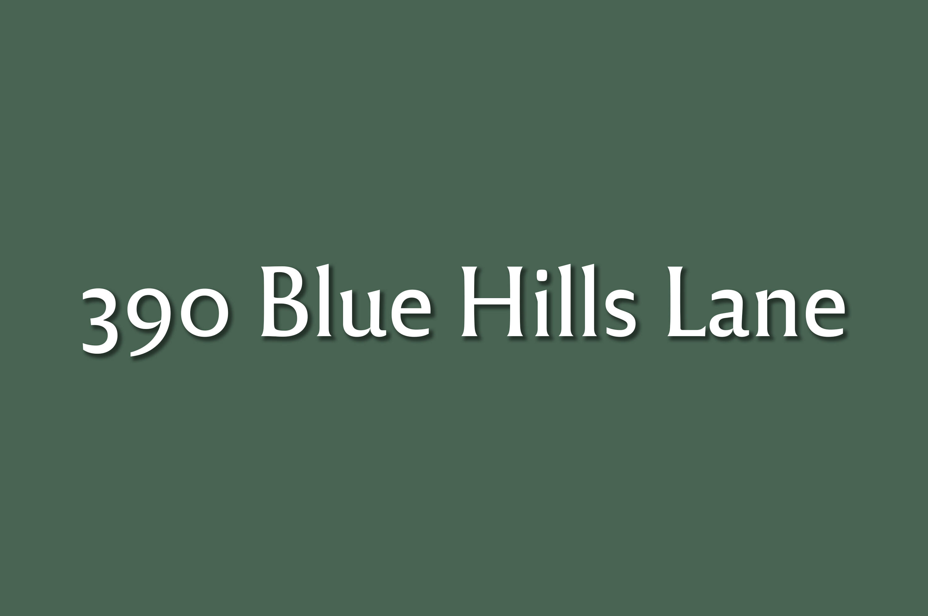 390 Blue Hills Ln